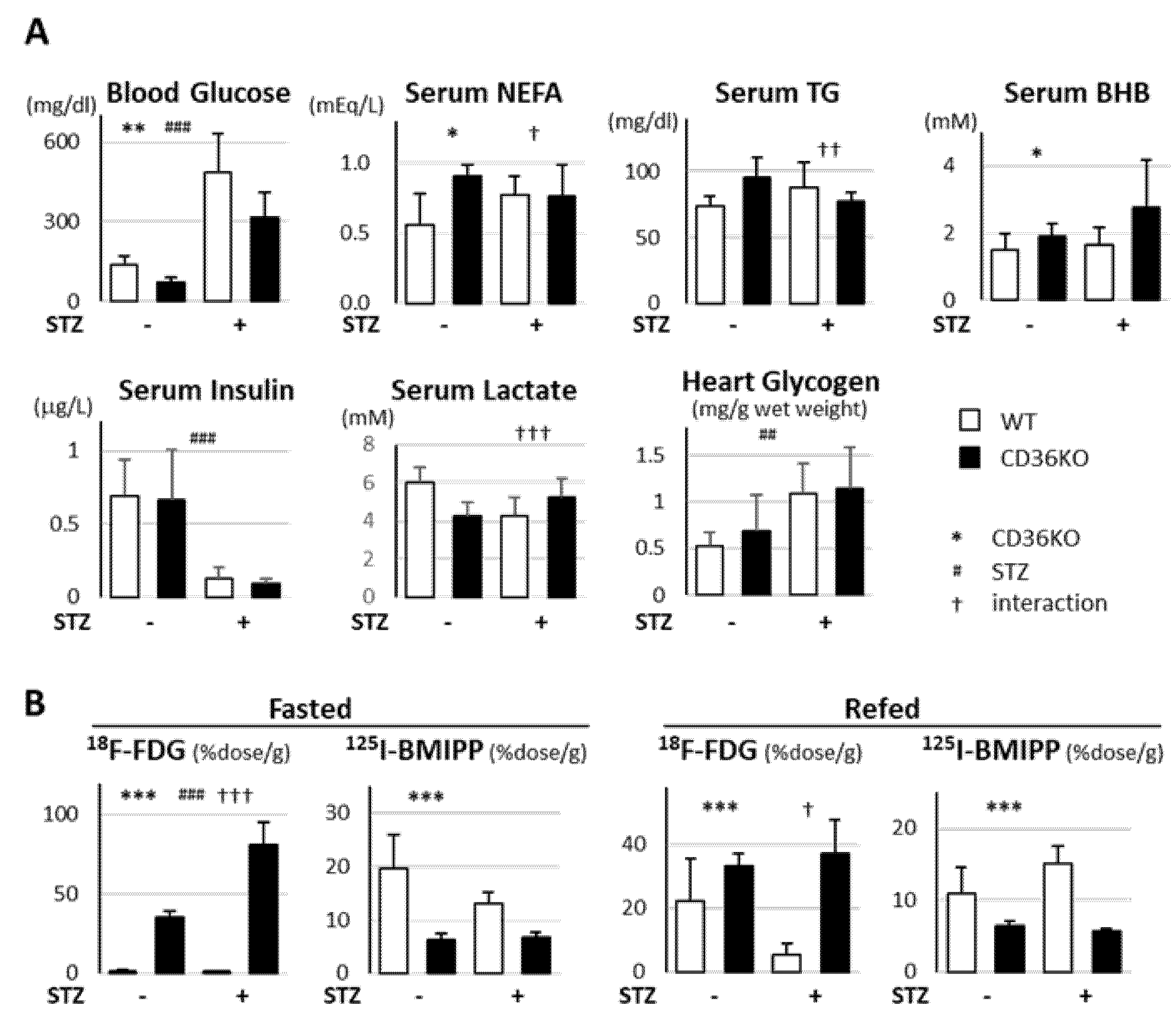 Metabolites 11 00881 g002