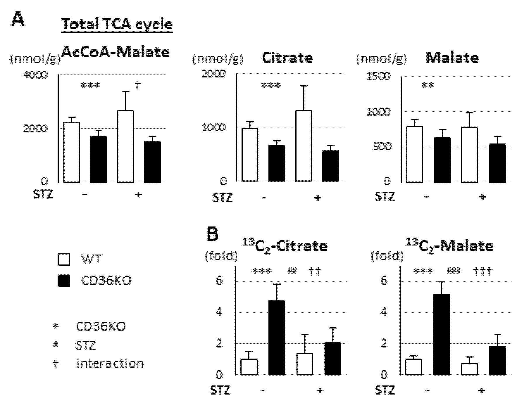 Metabolites 11 00881 g004