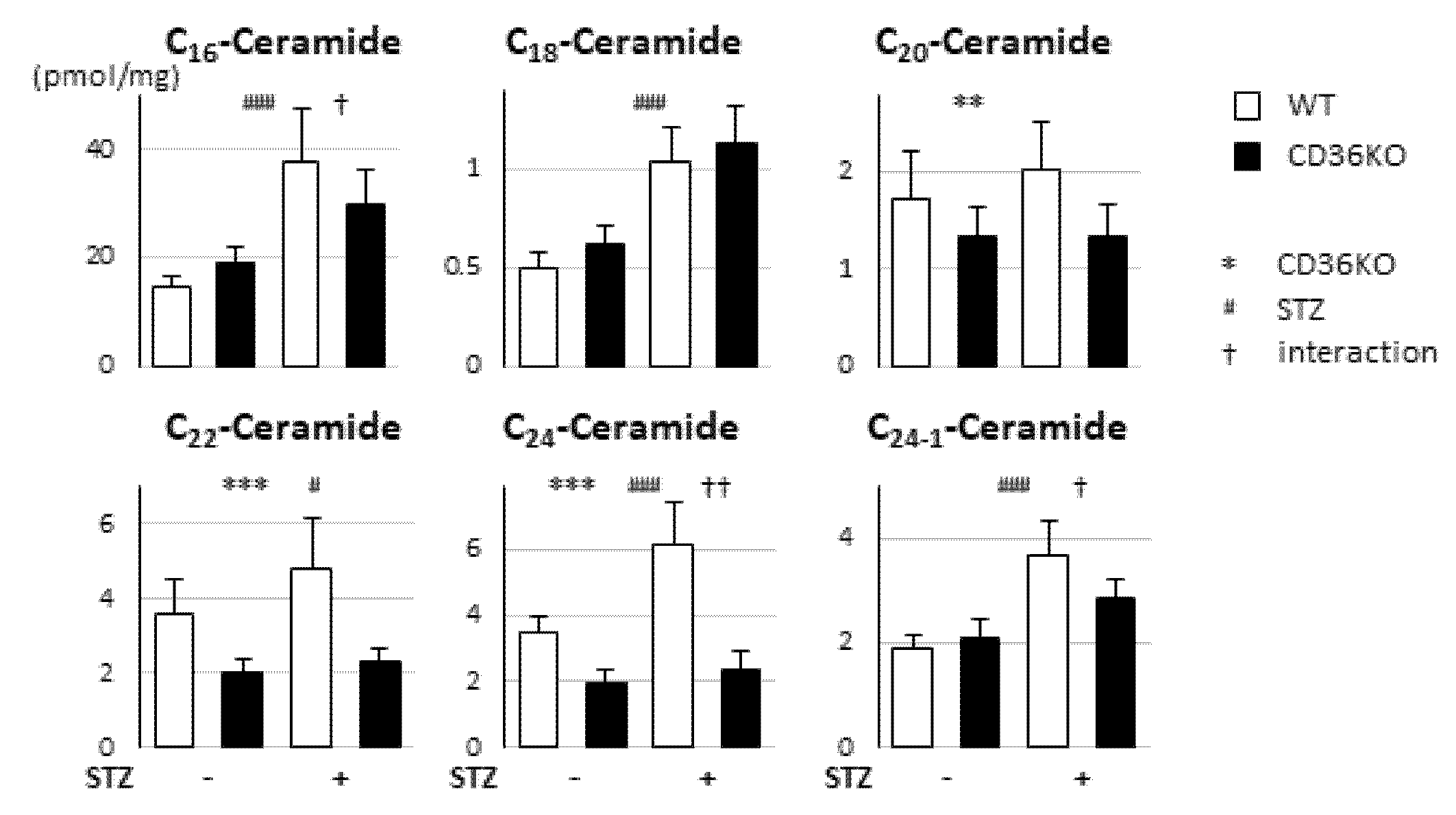 Metabolites 11 00881 g005