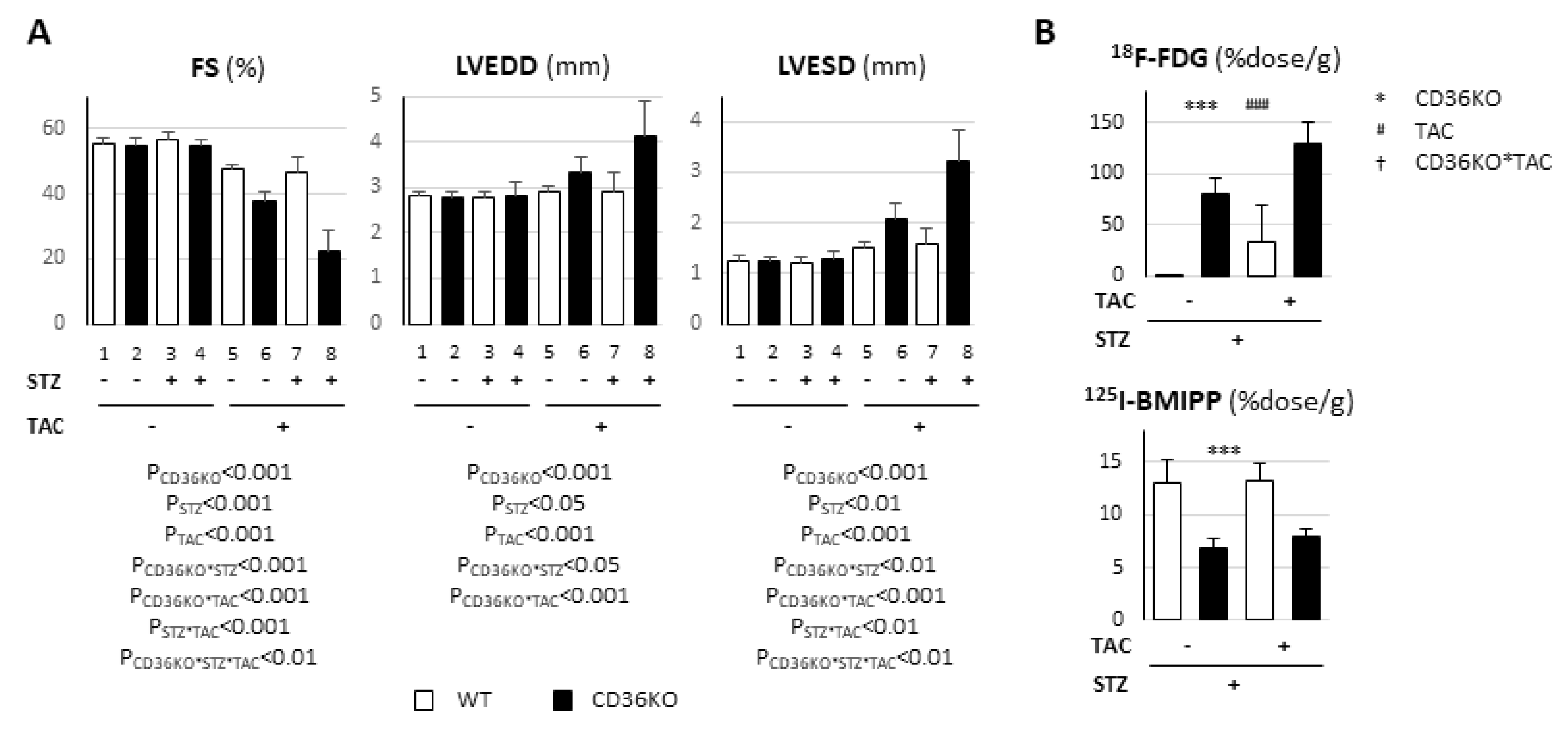 Metabolites 11 00881 g006