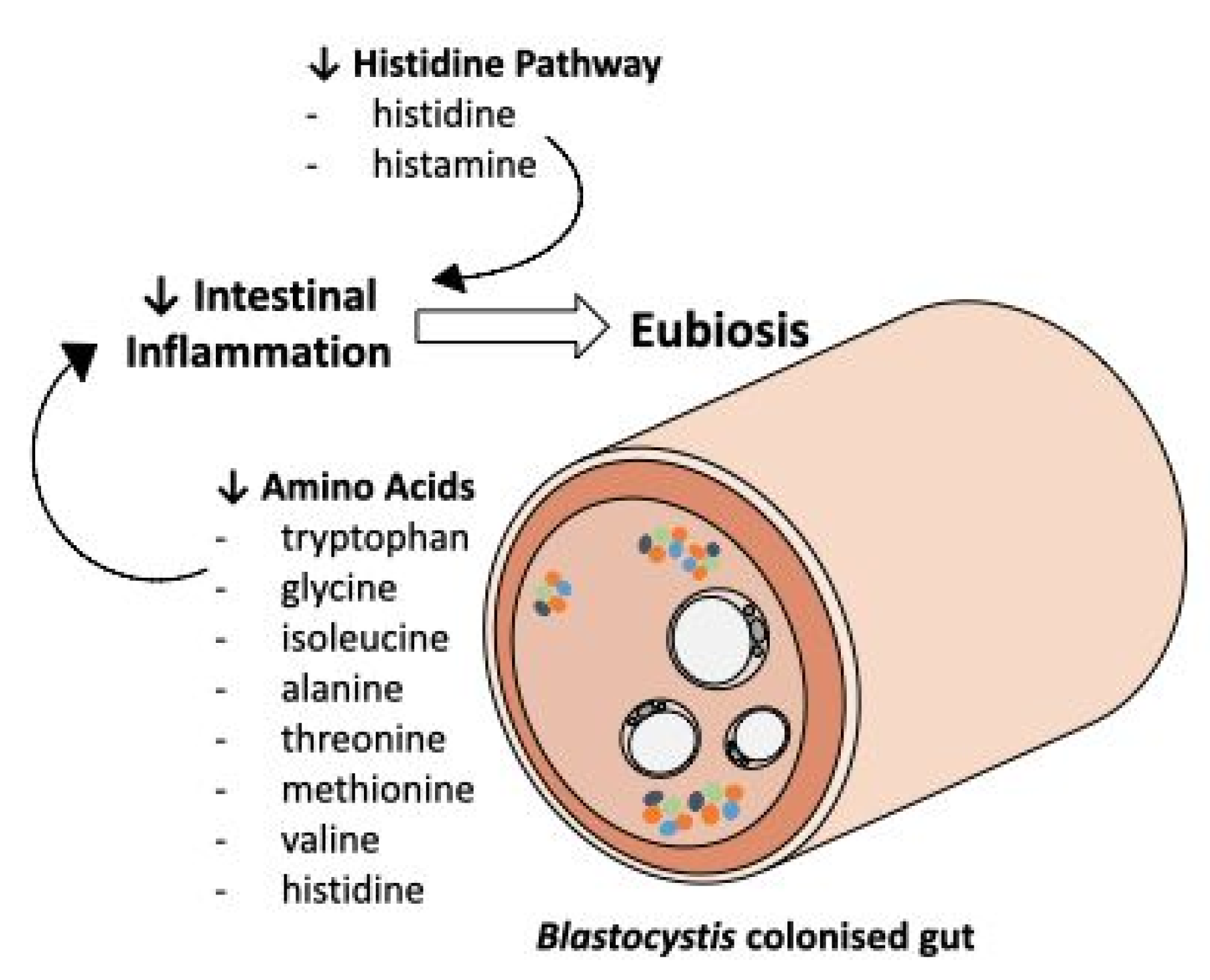 Metabolites 11 00883 g004