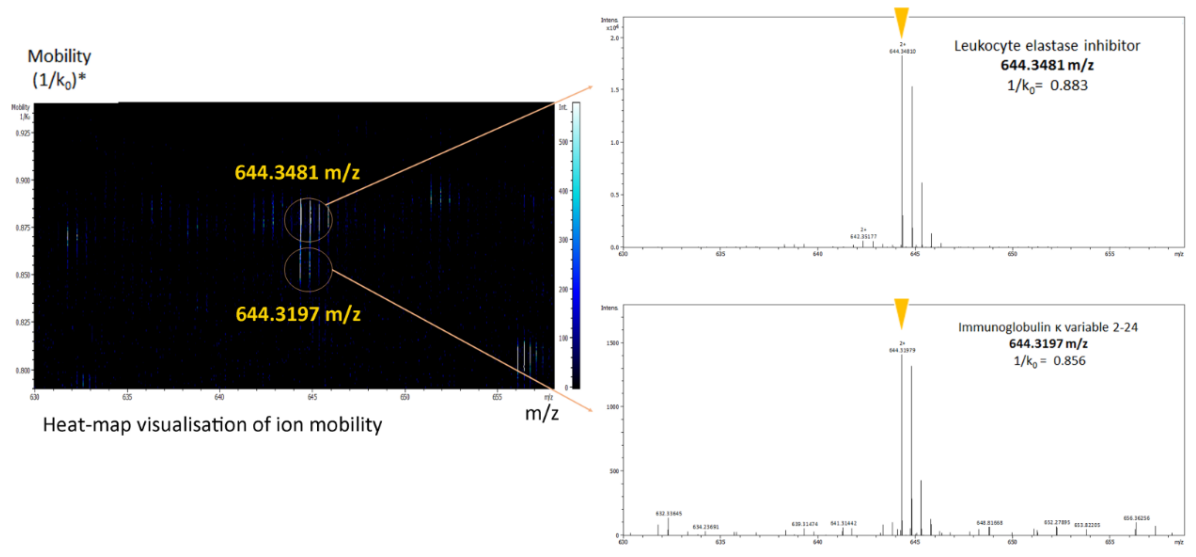 Metabolites 12 00002 g005