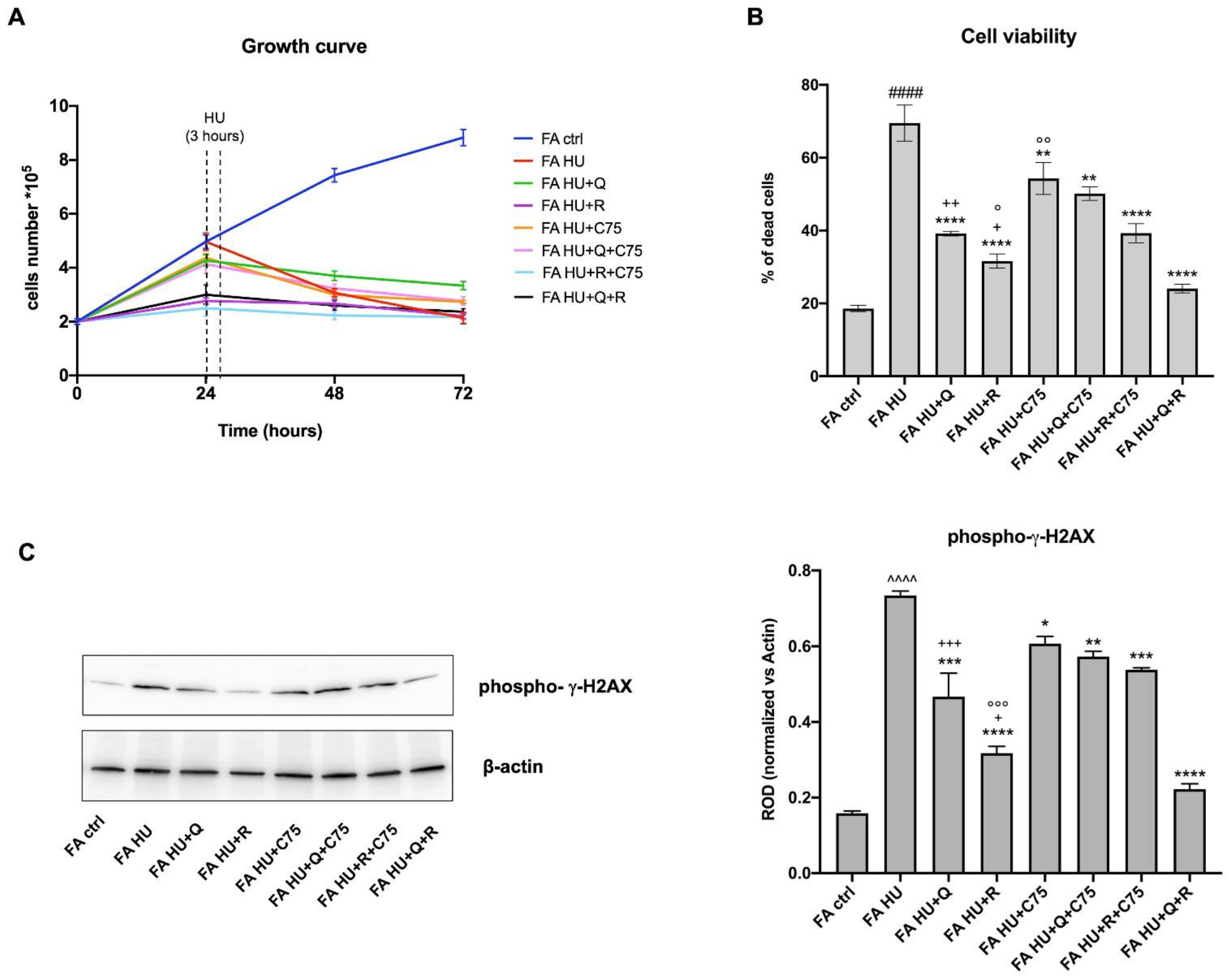 Metabolites 12 00006 g007 Metabolites 12 00006 g007