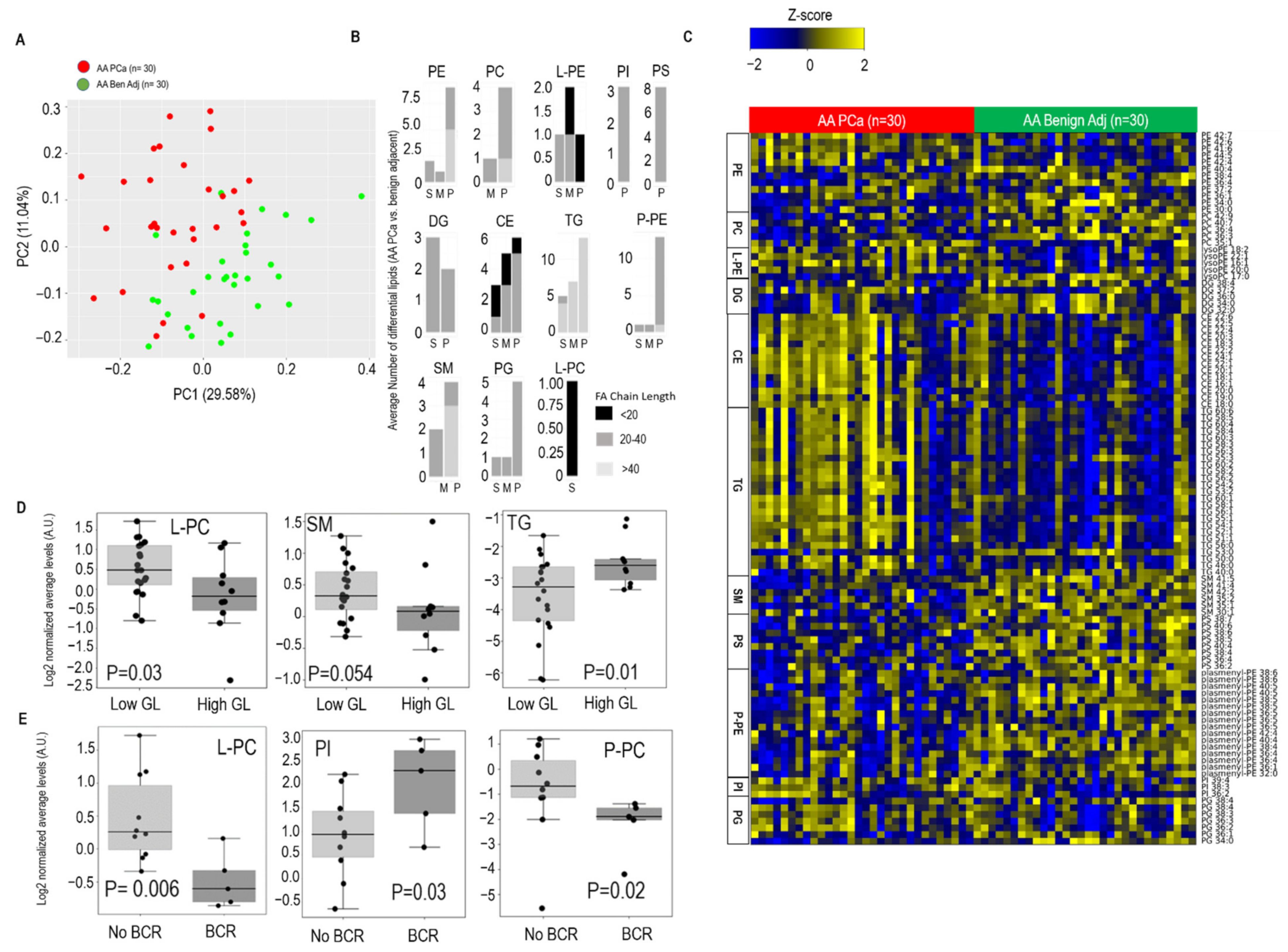 Metabolites 12 00008 g001