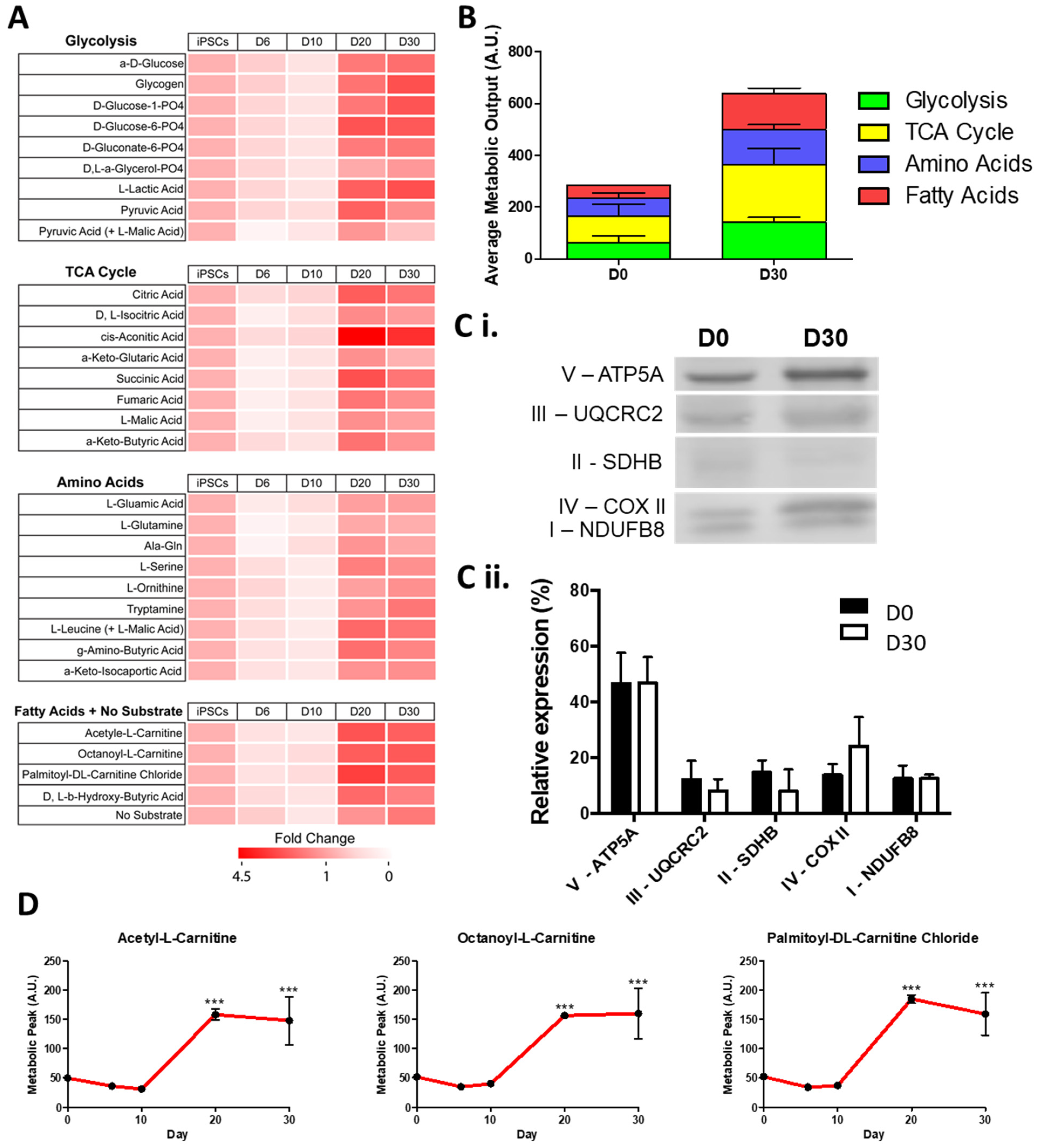 Metabolites 12 00009 g001
