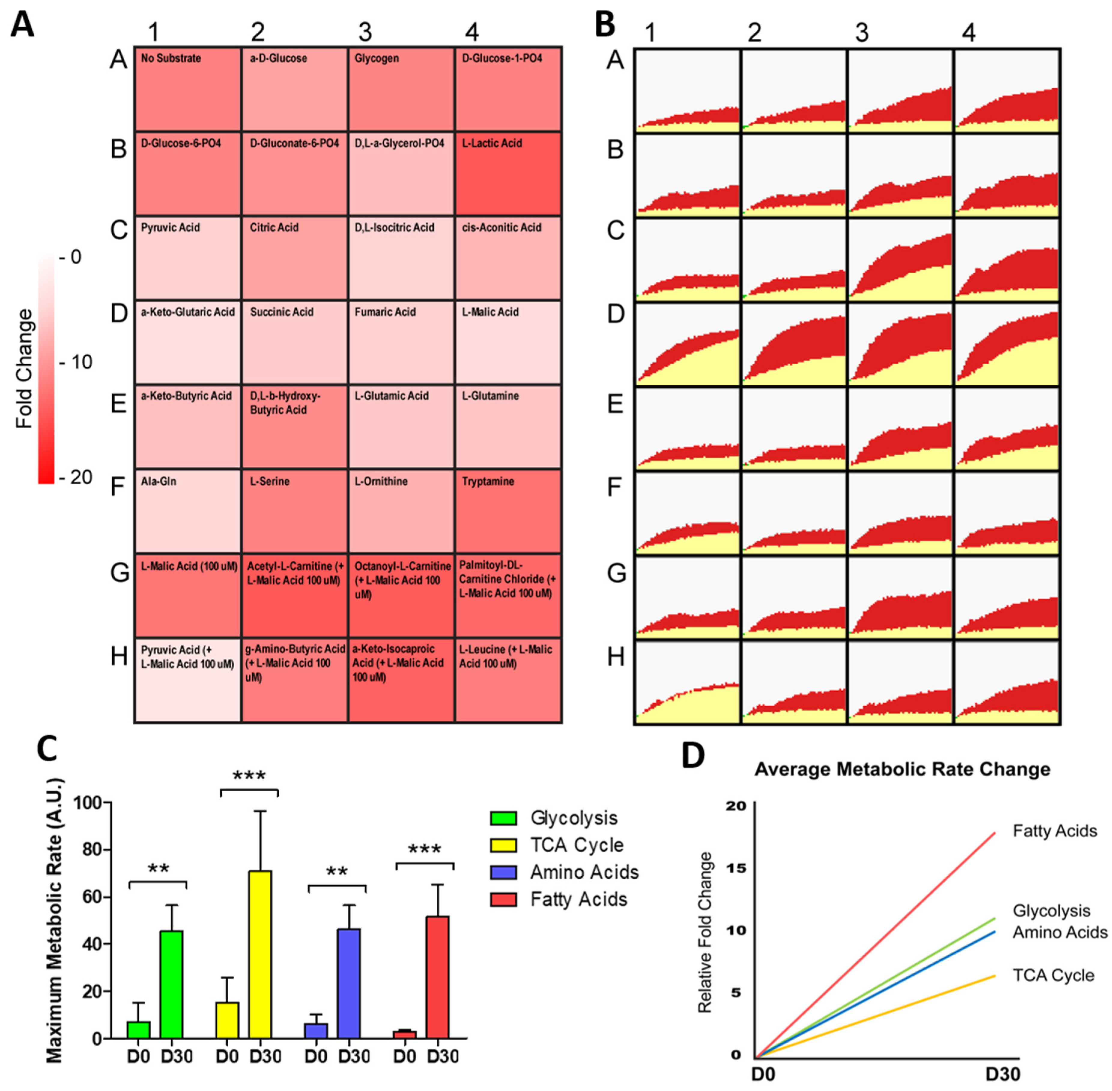 Metabolites 12 00009 g002