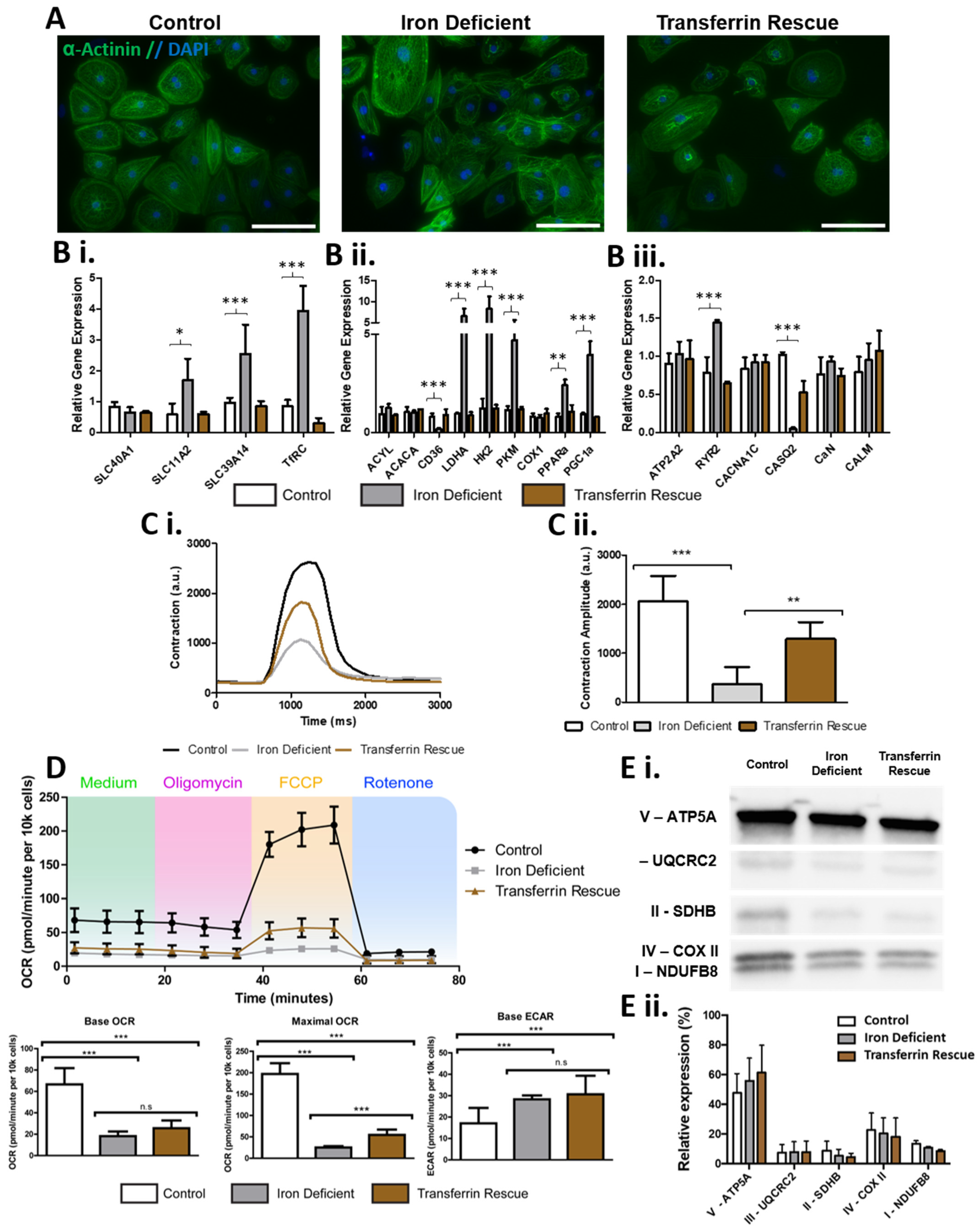 Metabolites 12 00009 g003