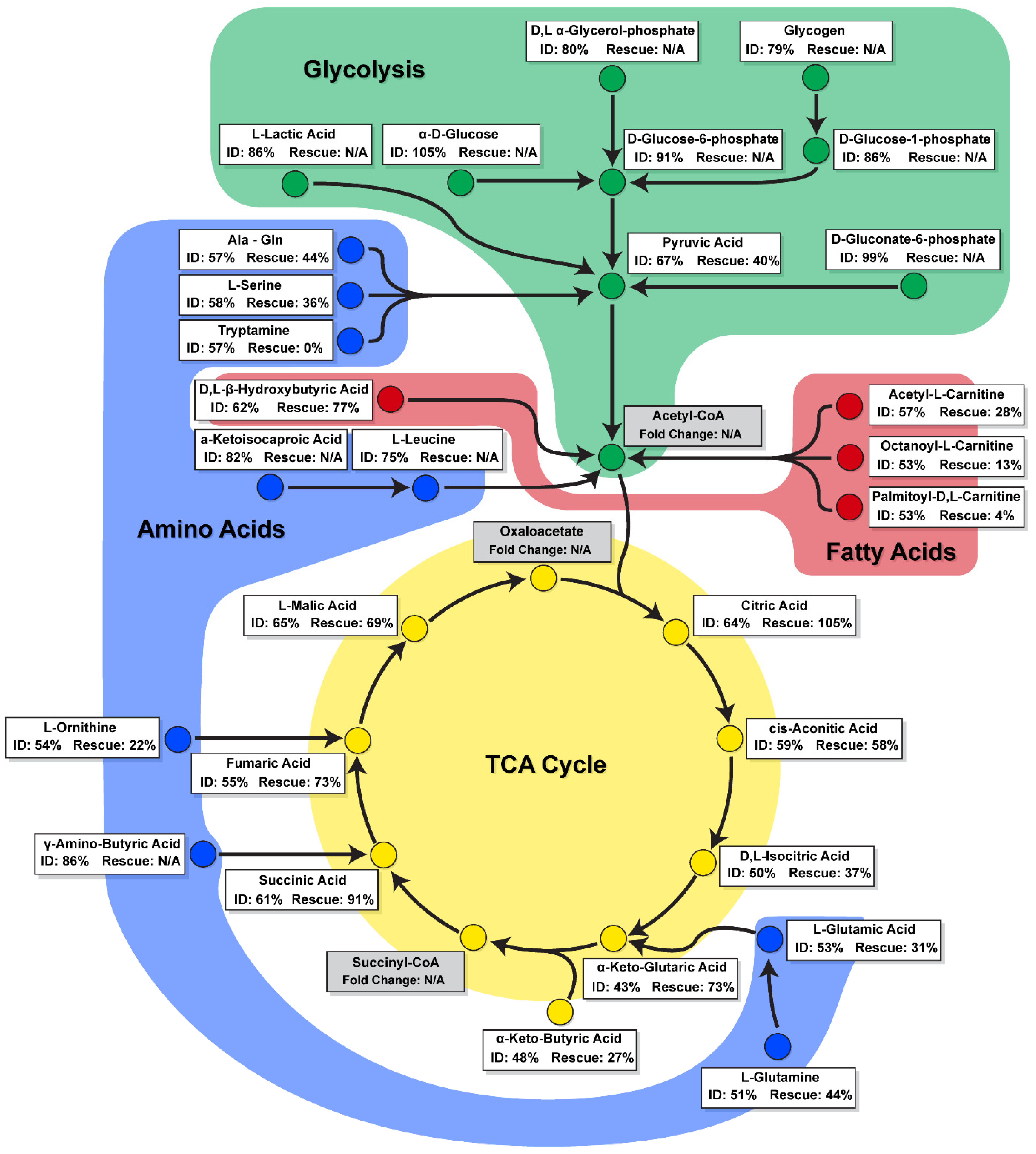 Metabolites 12 00009 g006