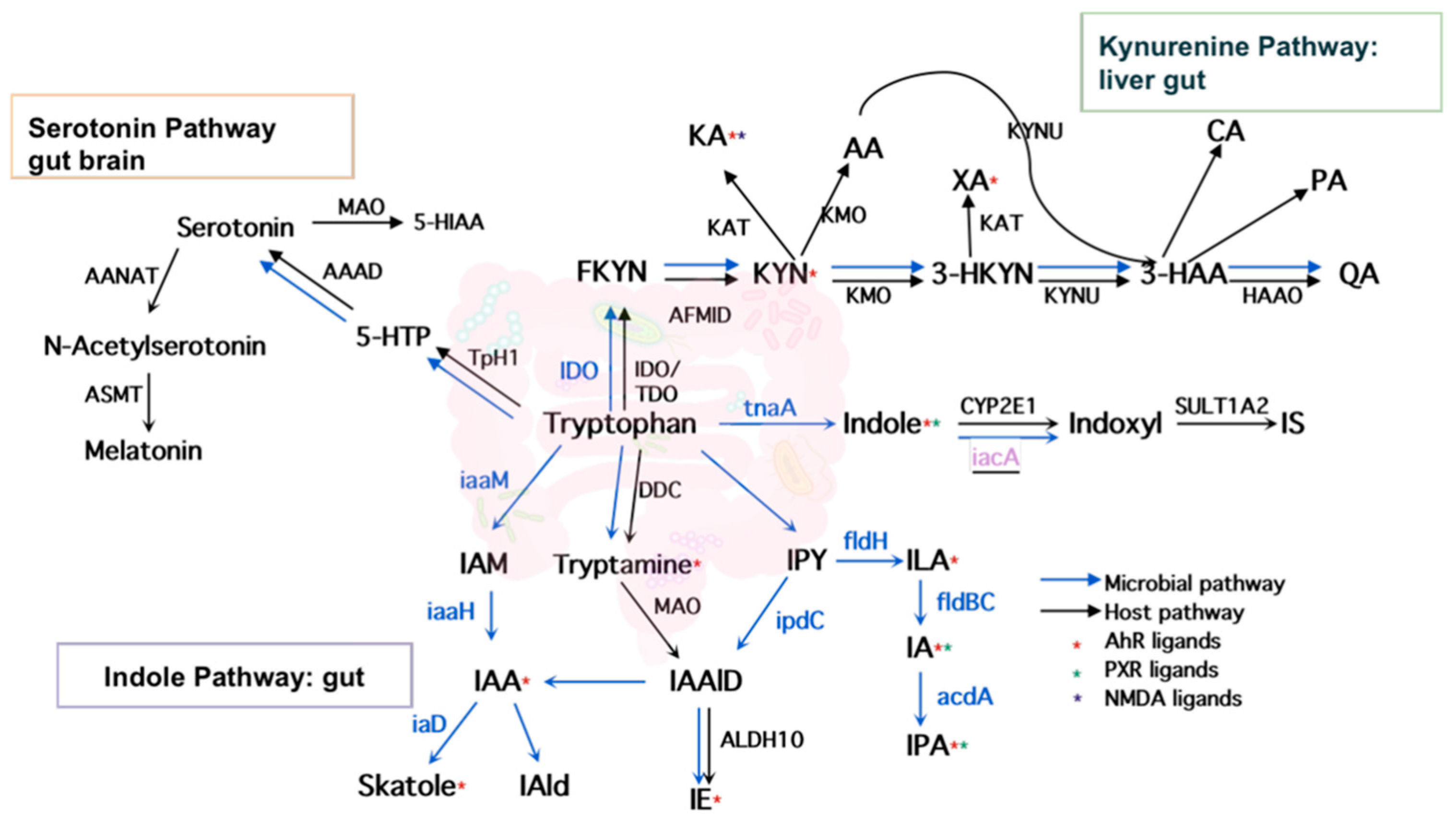 Metabolites 12 00010 g002