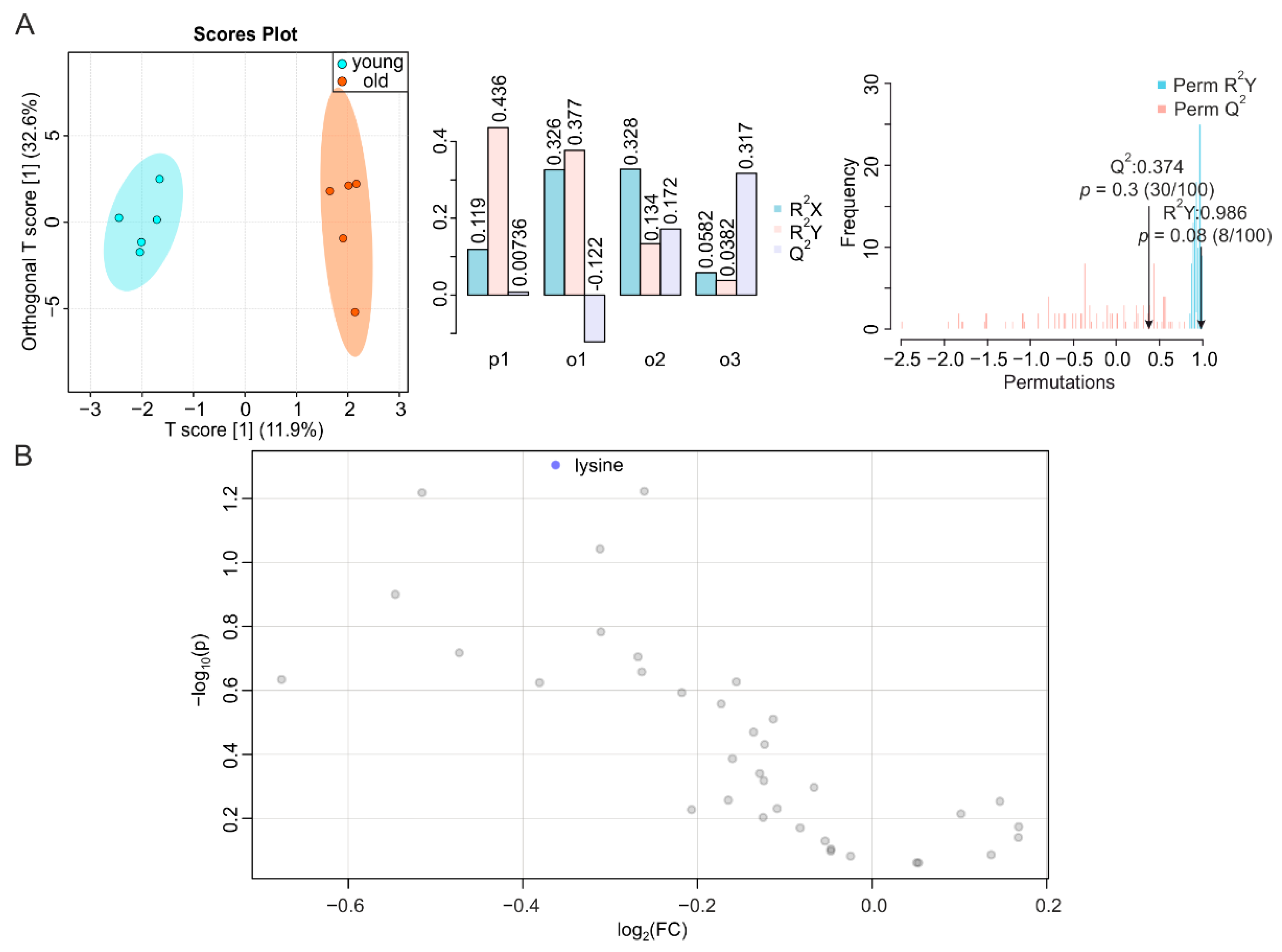 Metabolites 12 00017 g005 Metabolites 12 00017 g005
