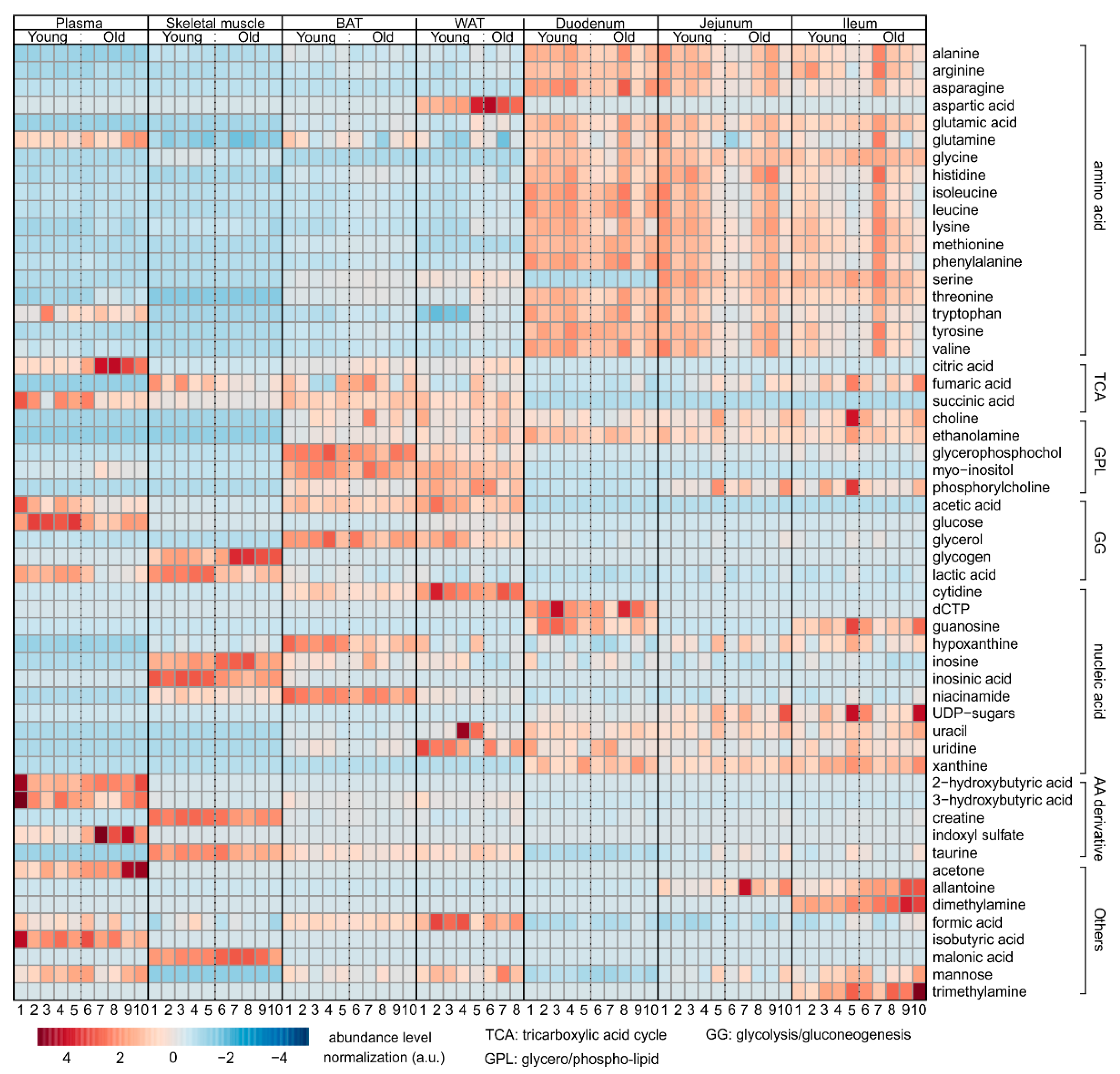 Metabolites 12 00017 g008 Metabolites 12 00017 g008