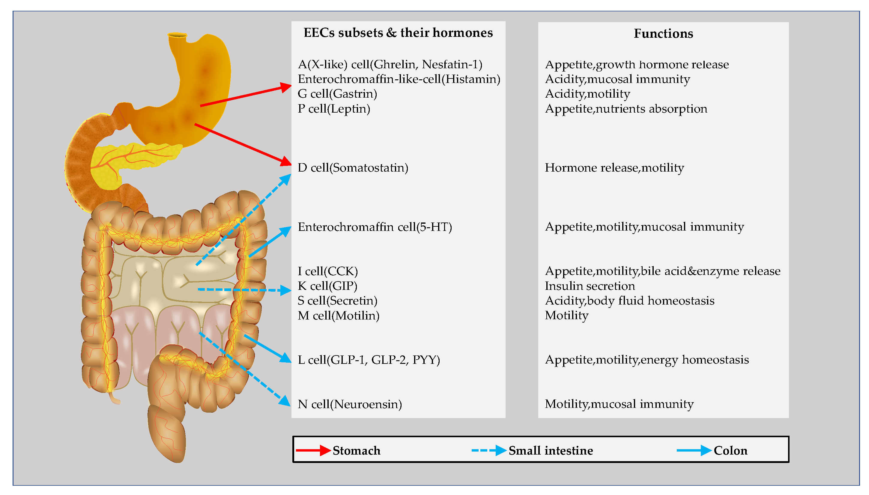 Metabolites 12 00031 g001