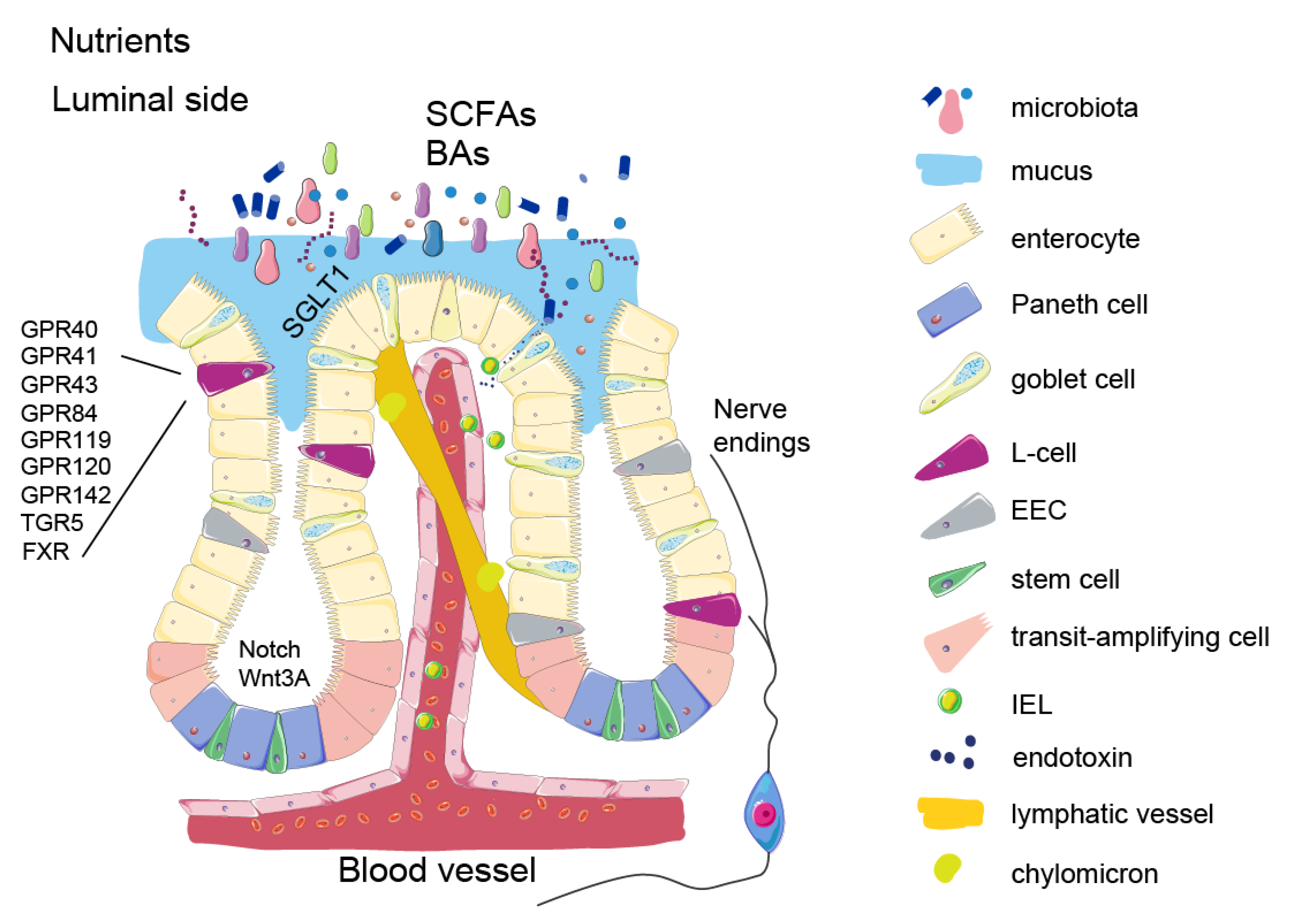 Metabolites 12 00039 g001