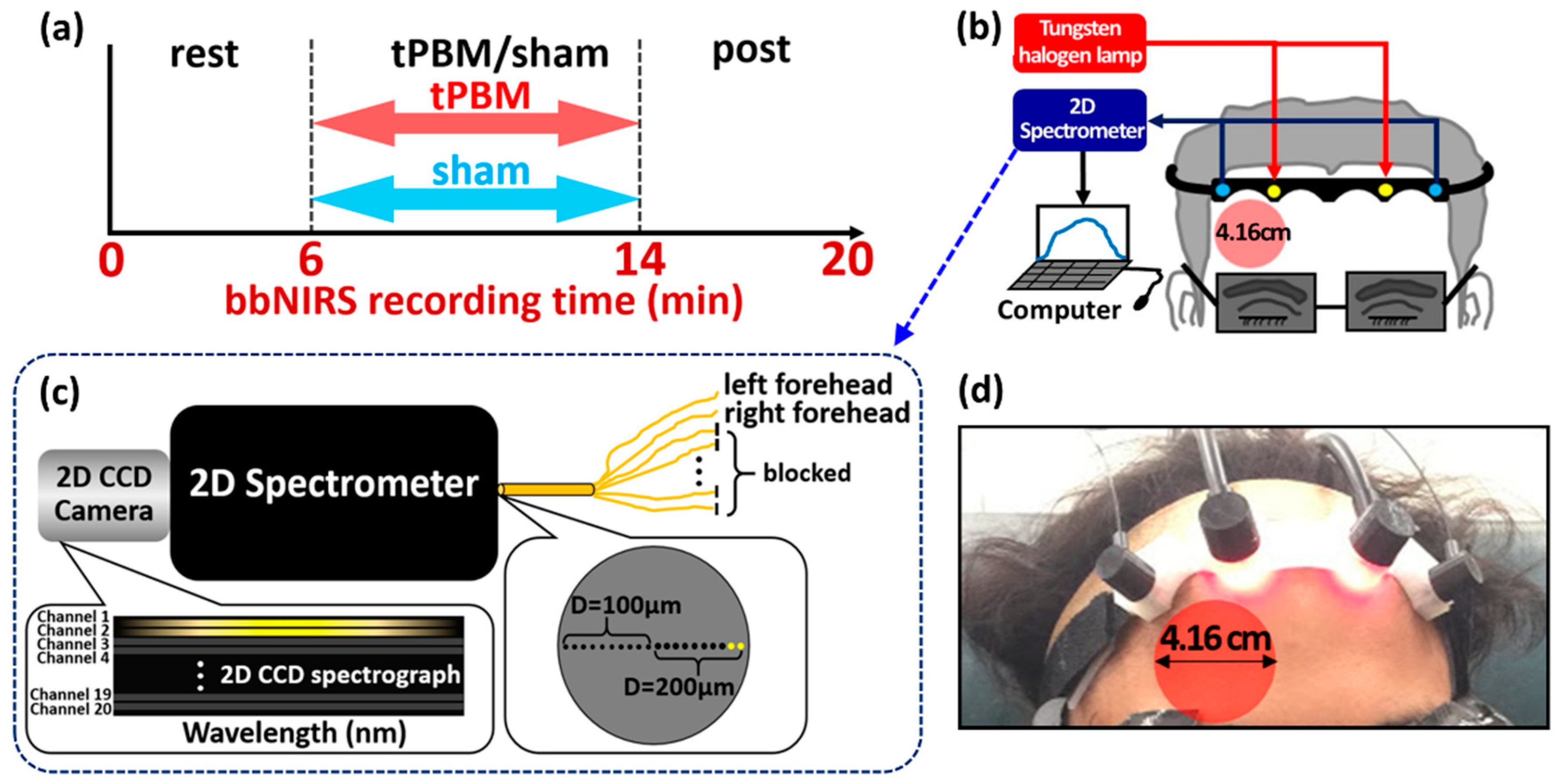 Metabolites 12 00042 g005