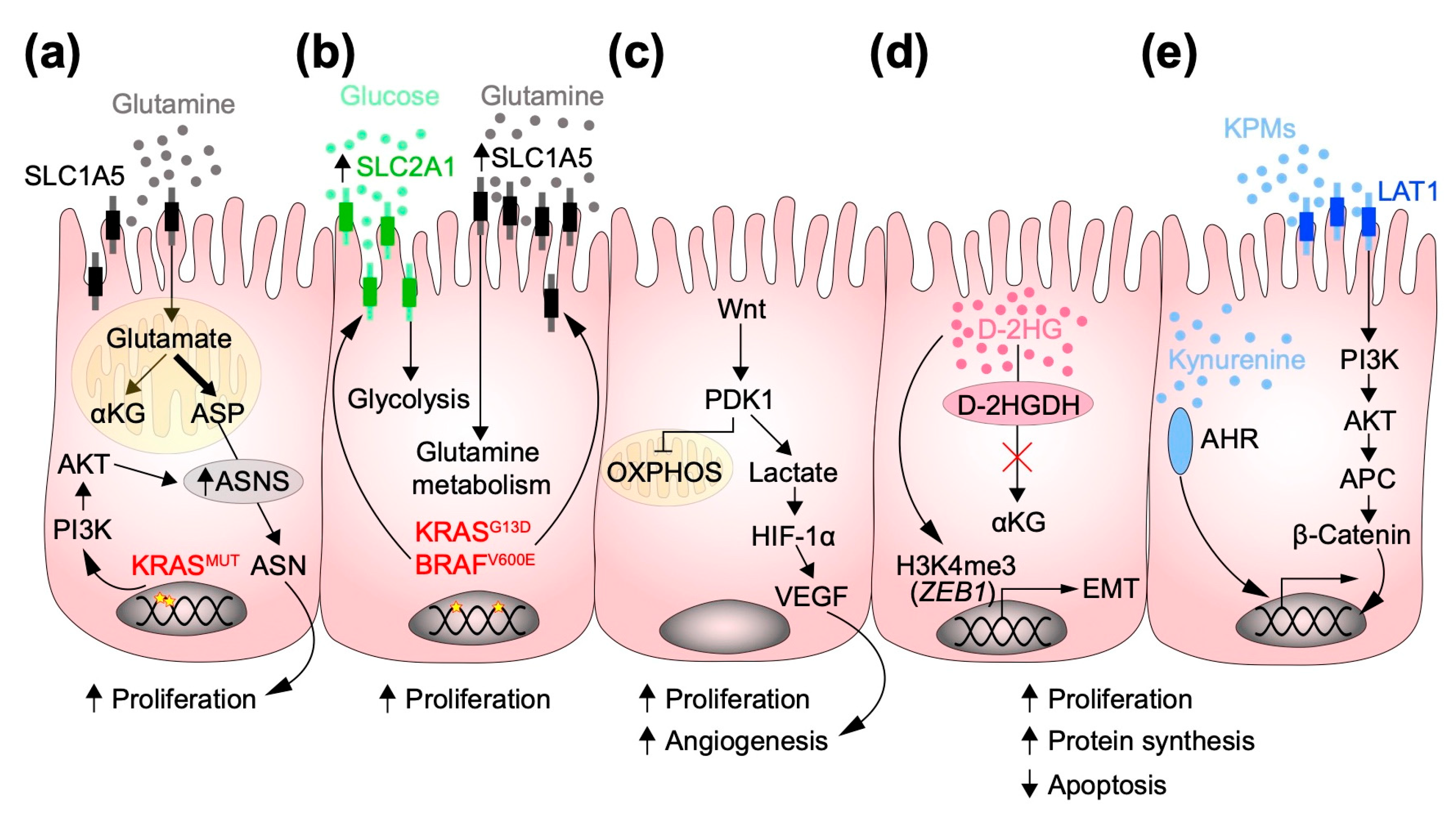 Metabolites 12 00046 g001