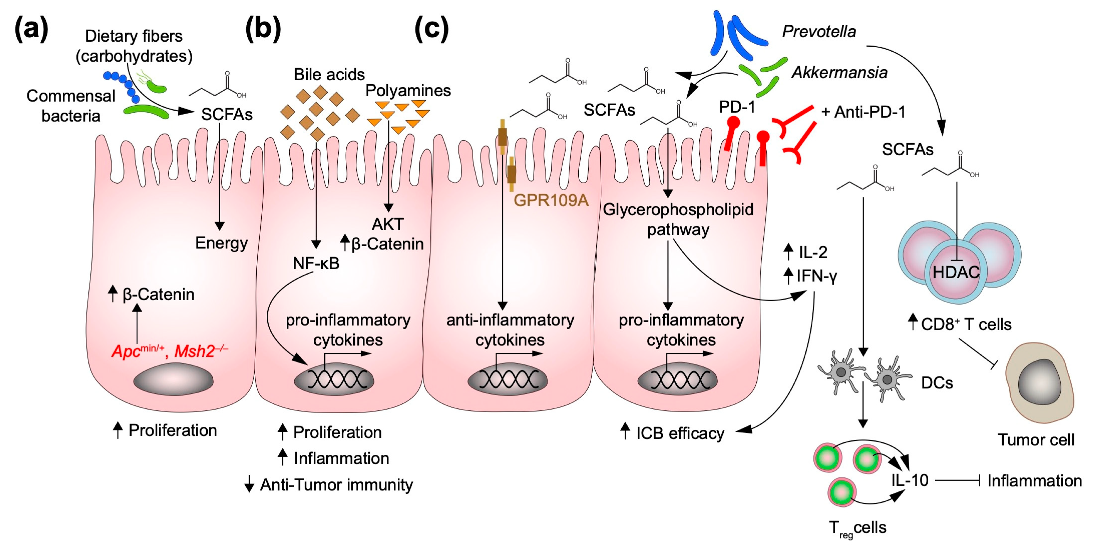 Metabolites 12 00046 g002