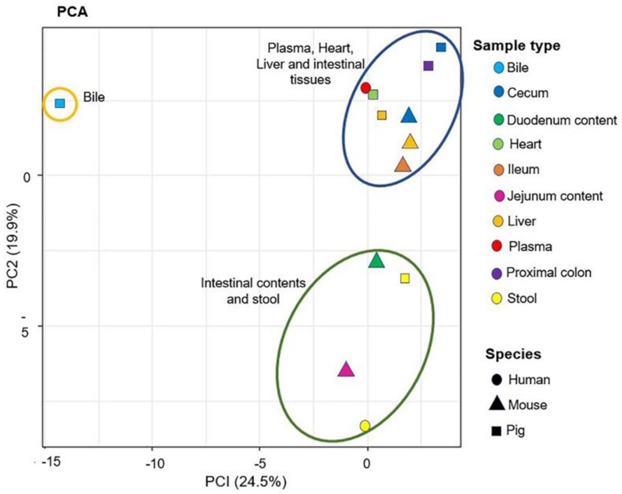 Metabolites 12 00049 g009