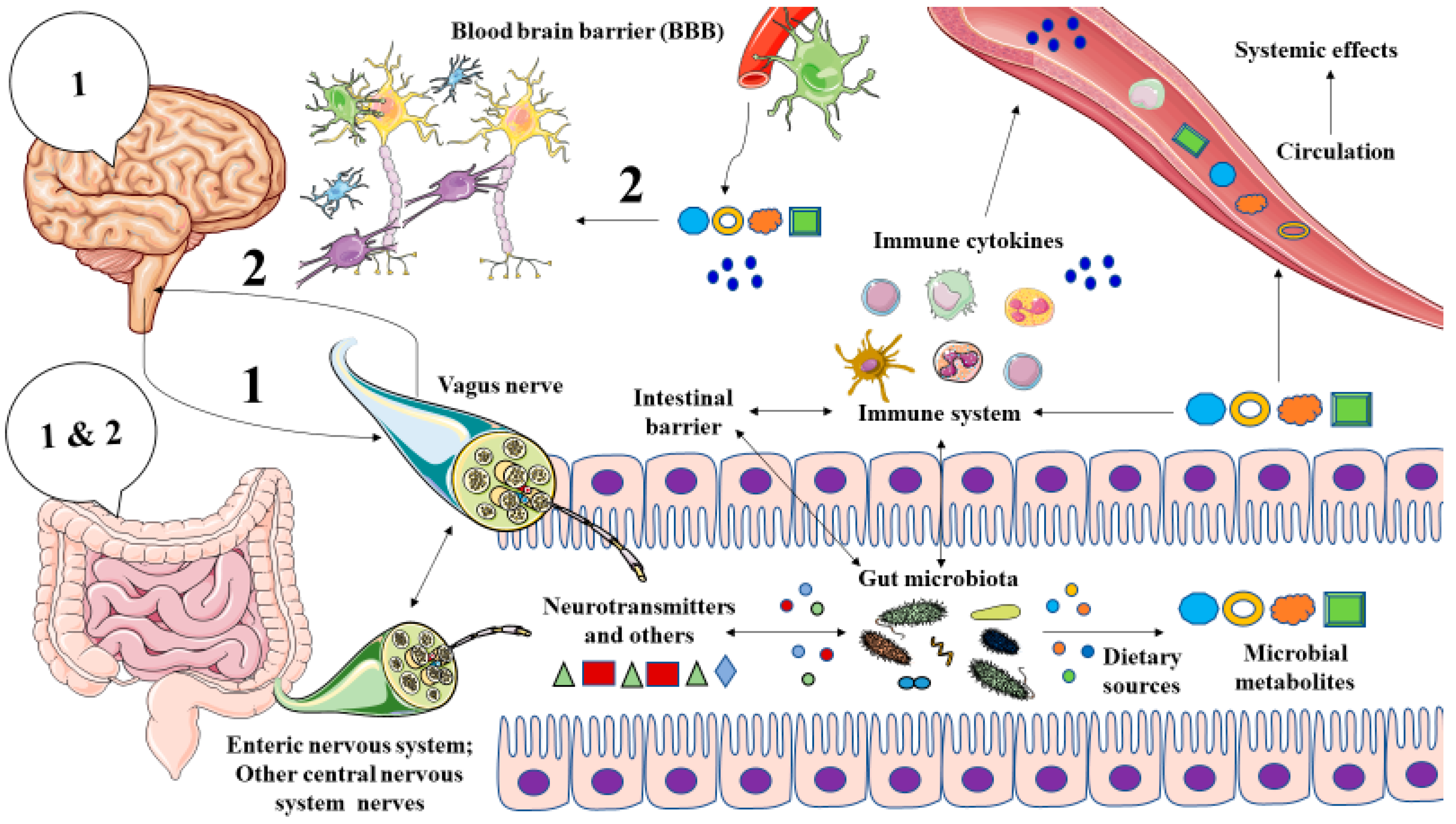 Metabolites 12 00050 g001