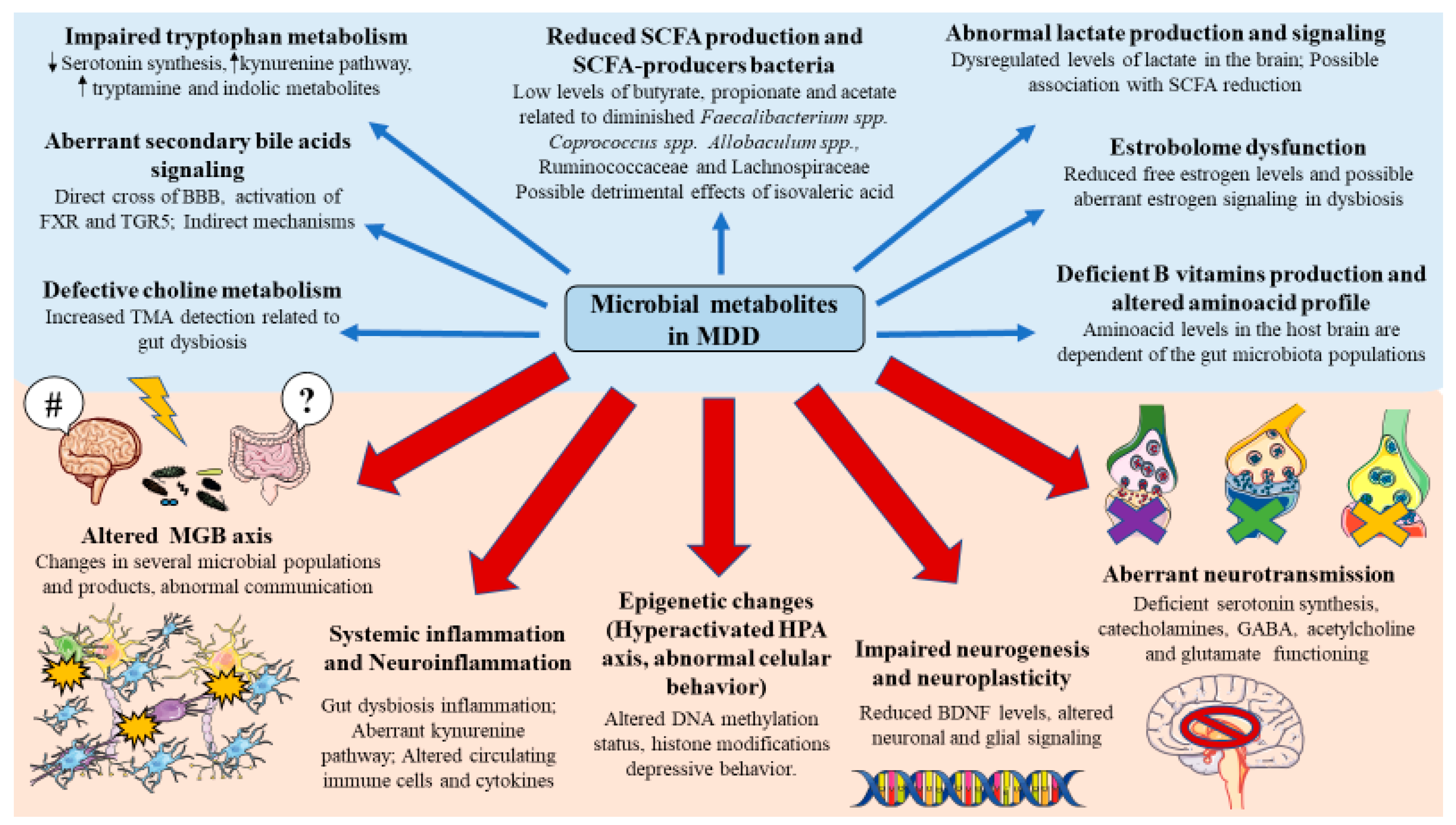 Metabolites 12 00050 g002