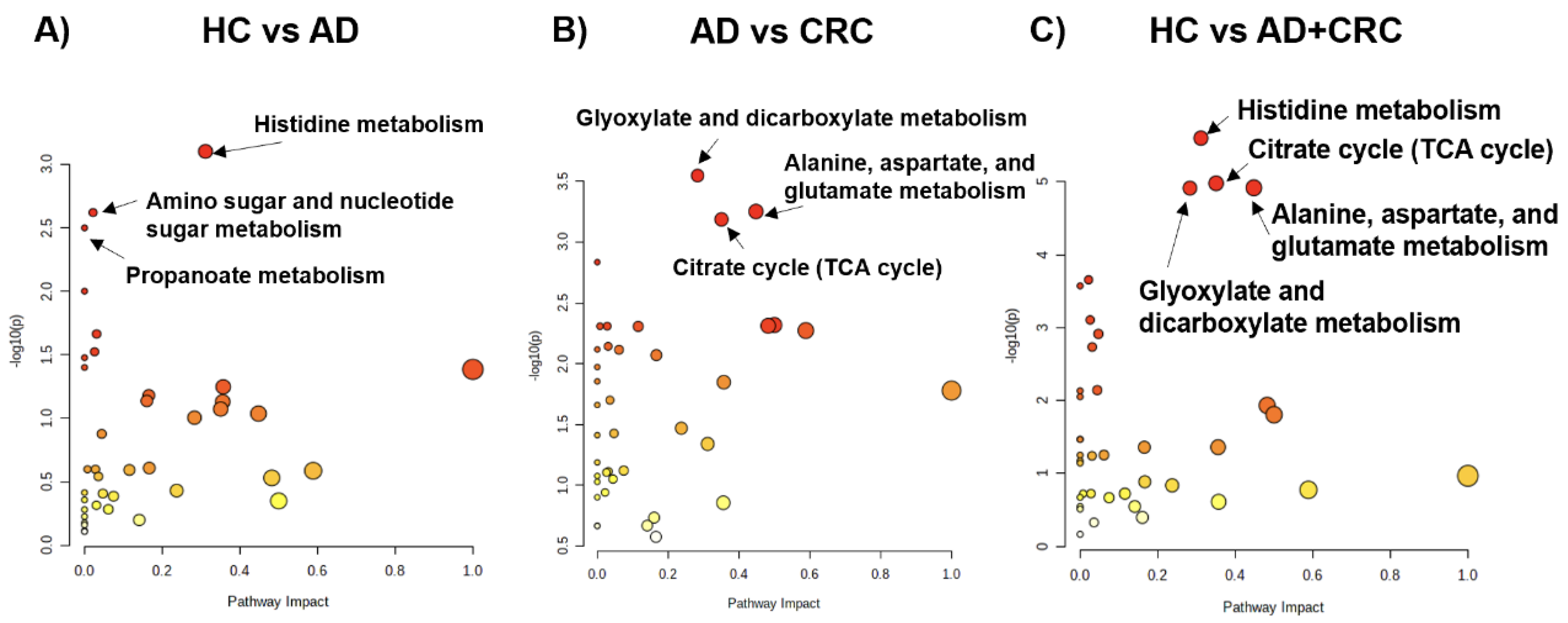 Metabolites 12 00059 g004