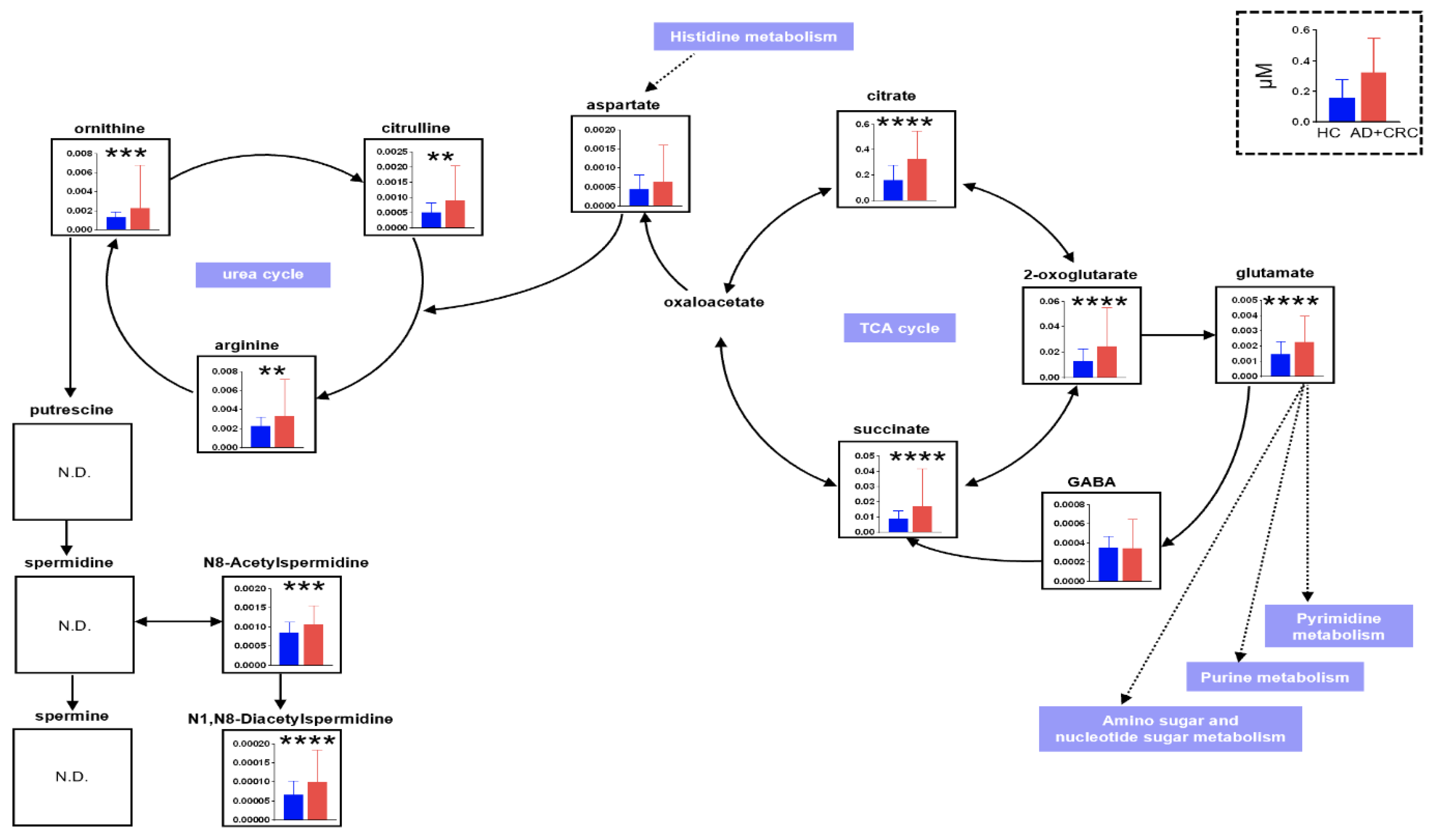 Metabolites 12 00059 g006