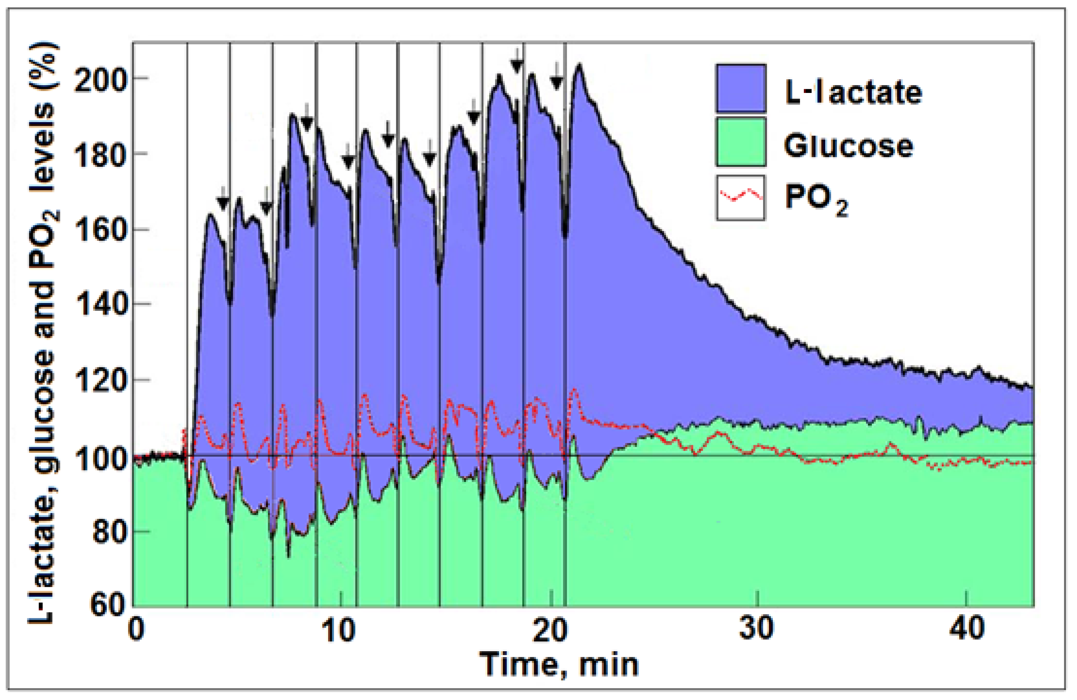 Metabolites 12 00072 g001 Metabolites 12 00072 g001