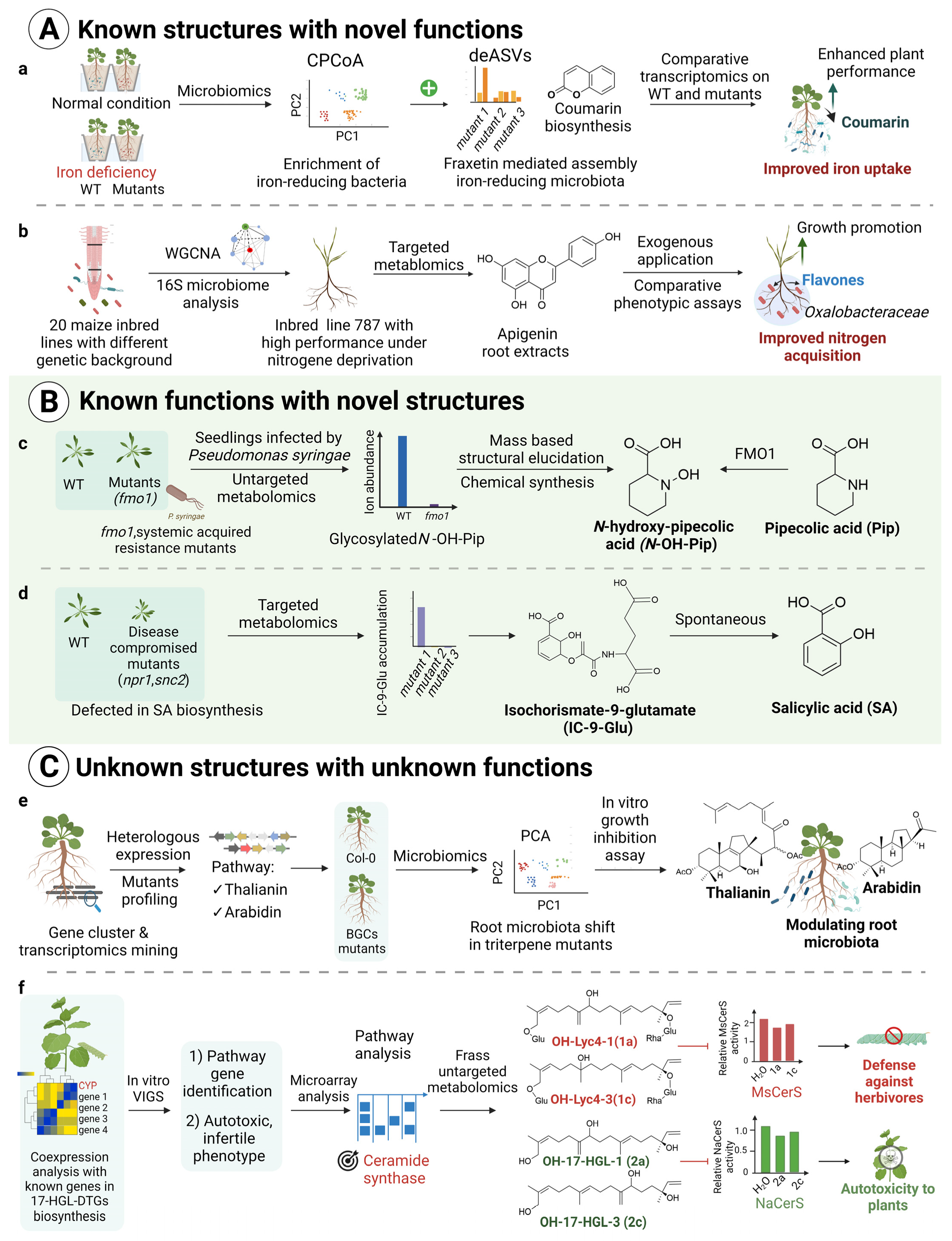 Metabolites 12 00076 g002