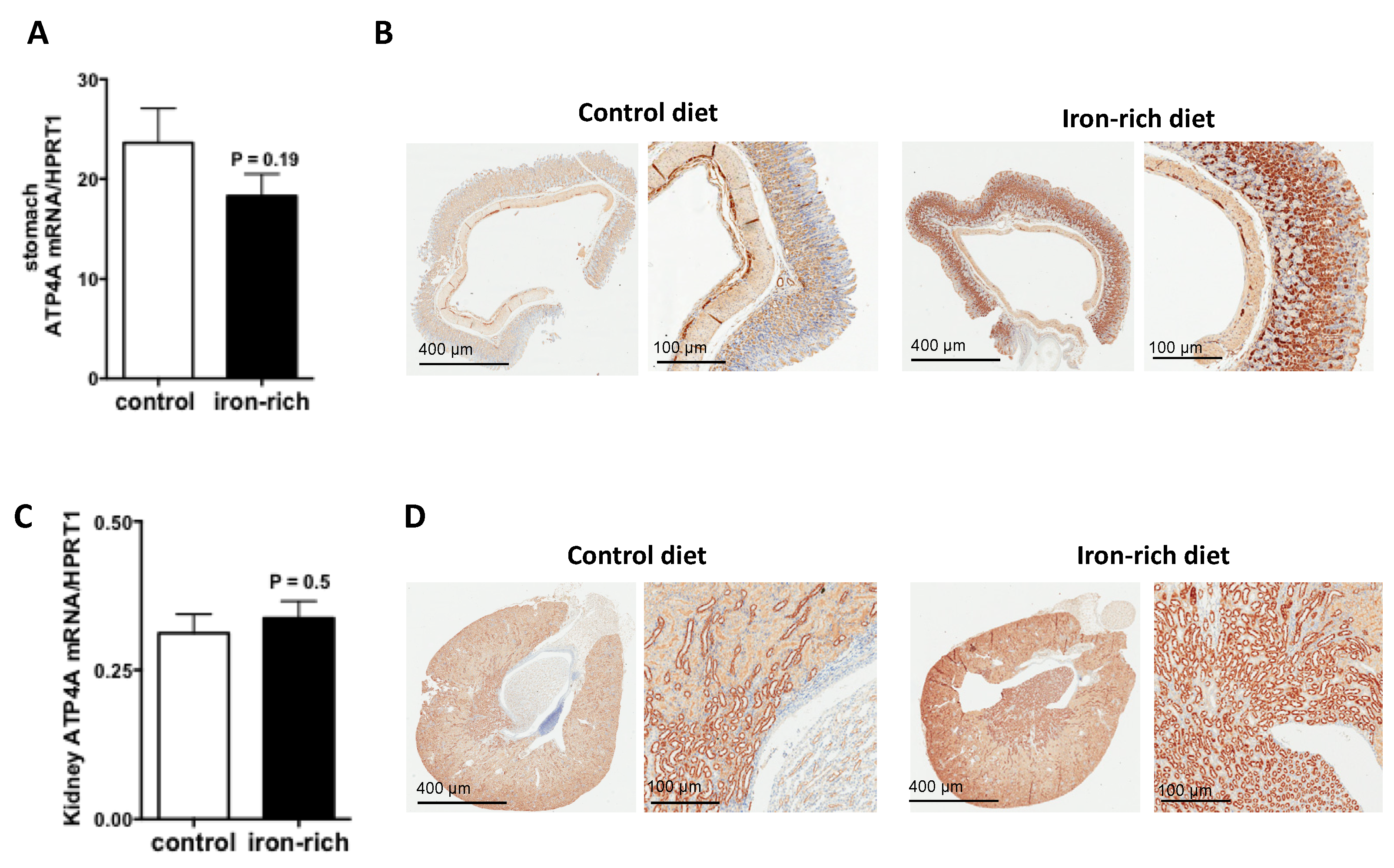 Metabolites 12 00089 g005 Metabolites 12 00089 g005