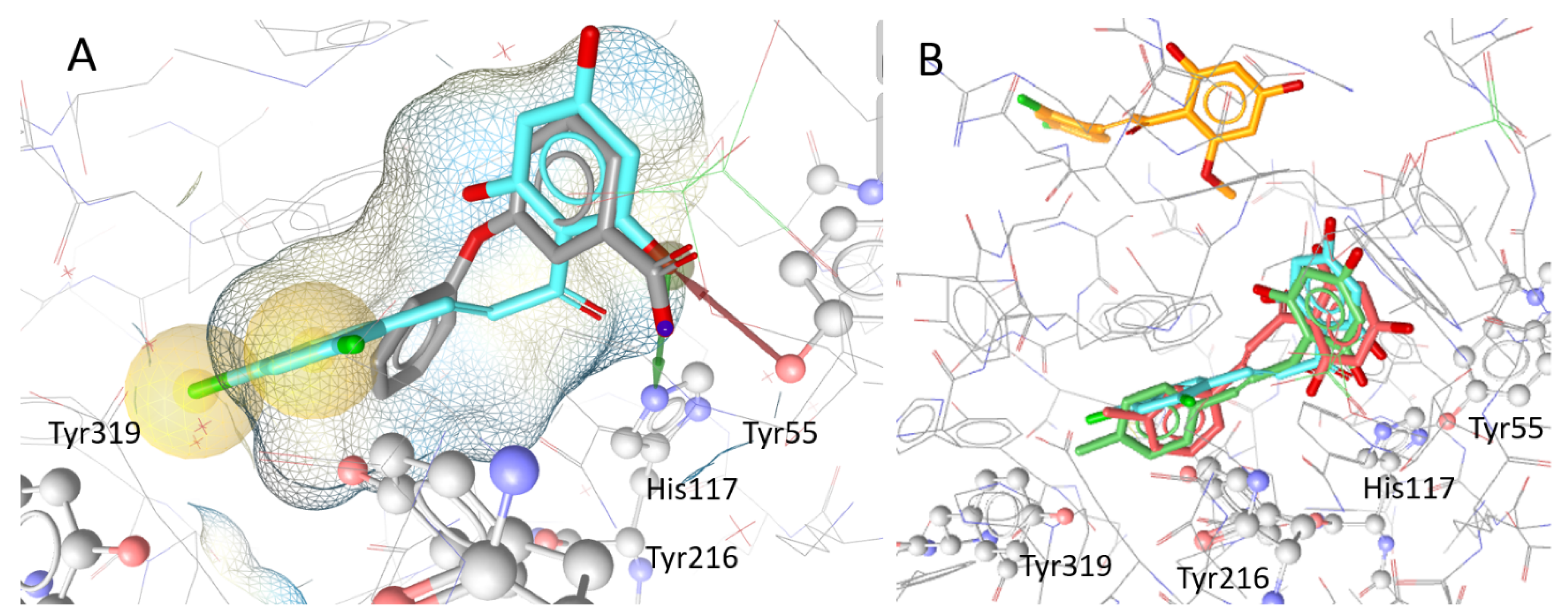 Metabolites 12 00099 g006