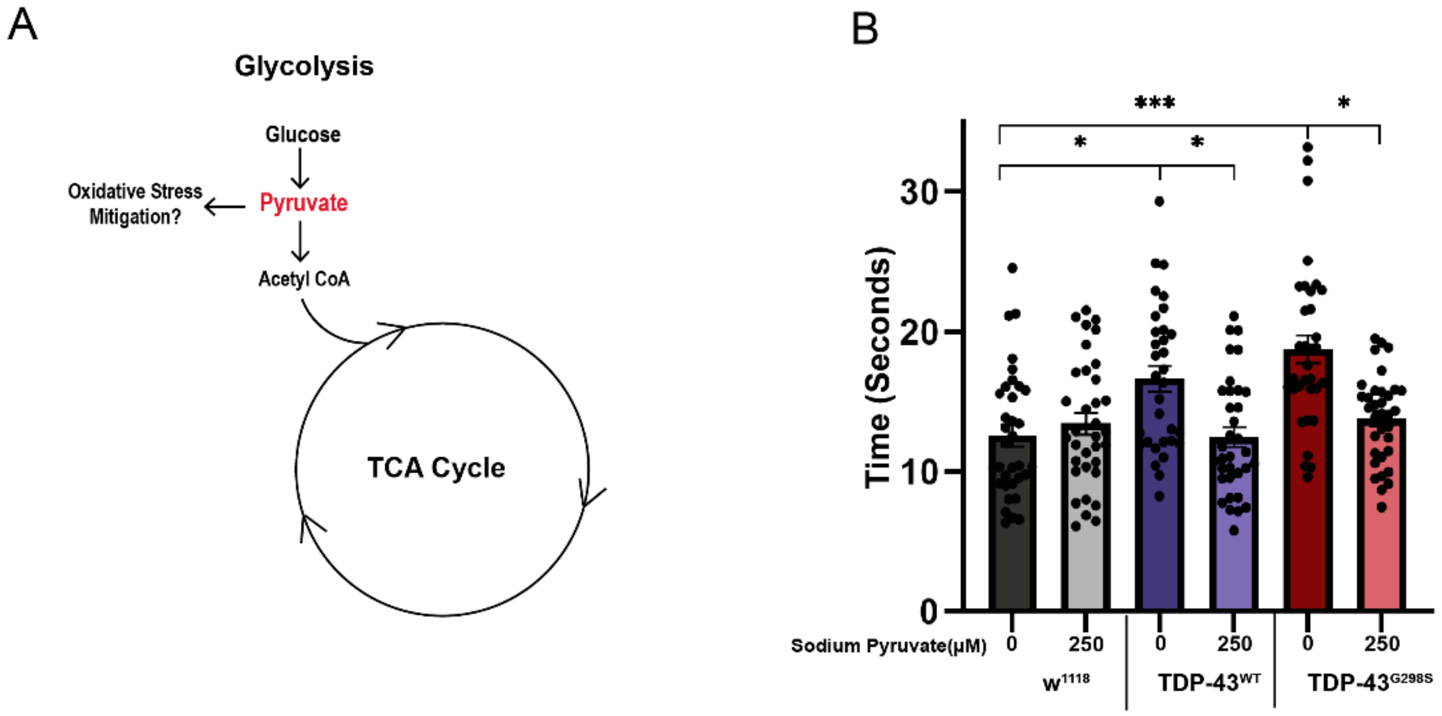 Metabolites 12 00101 g003