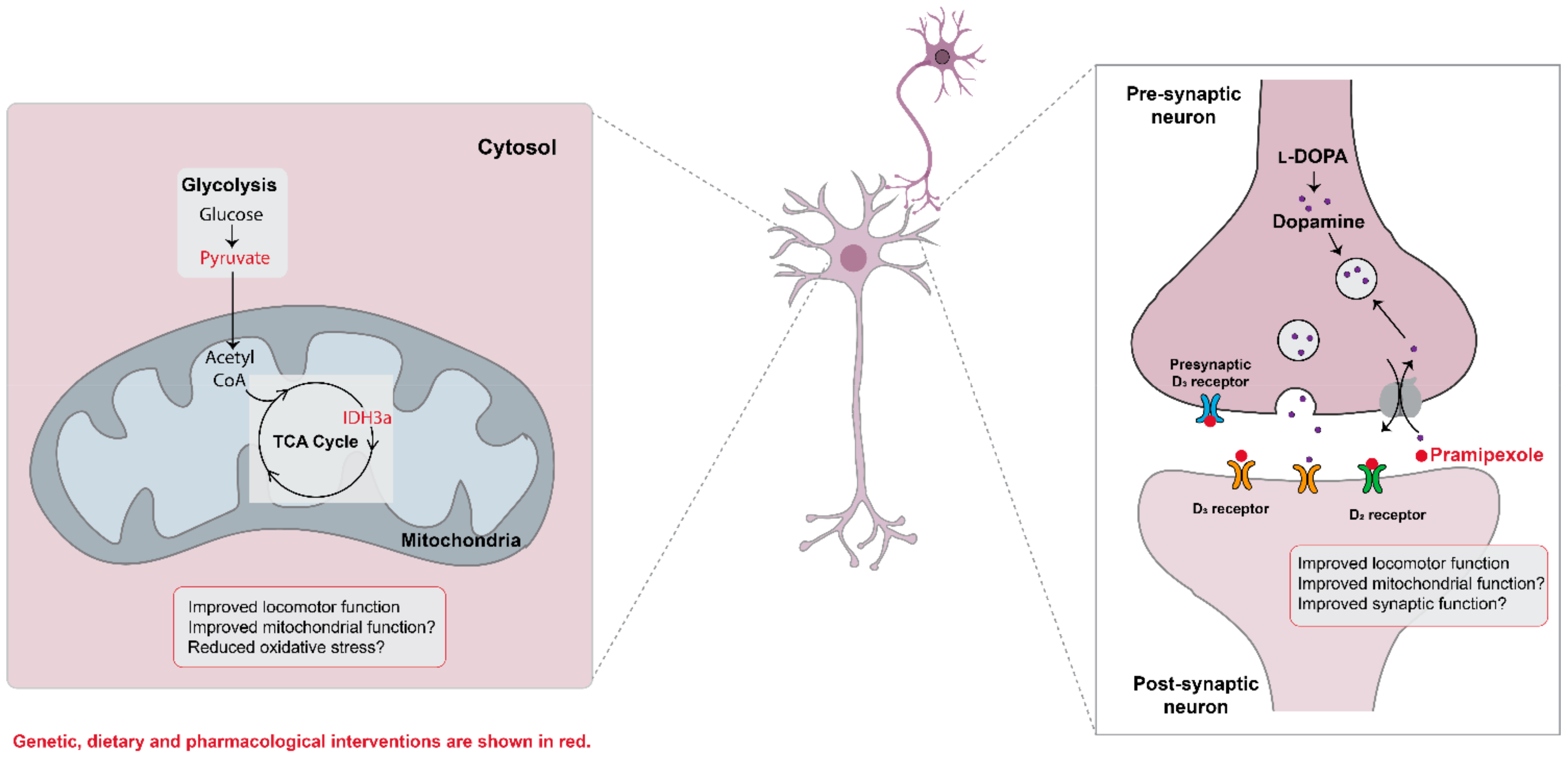 Metabolites 12 00101 g005