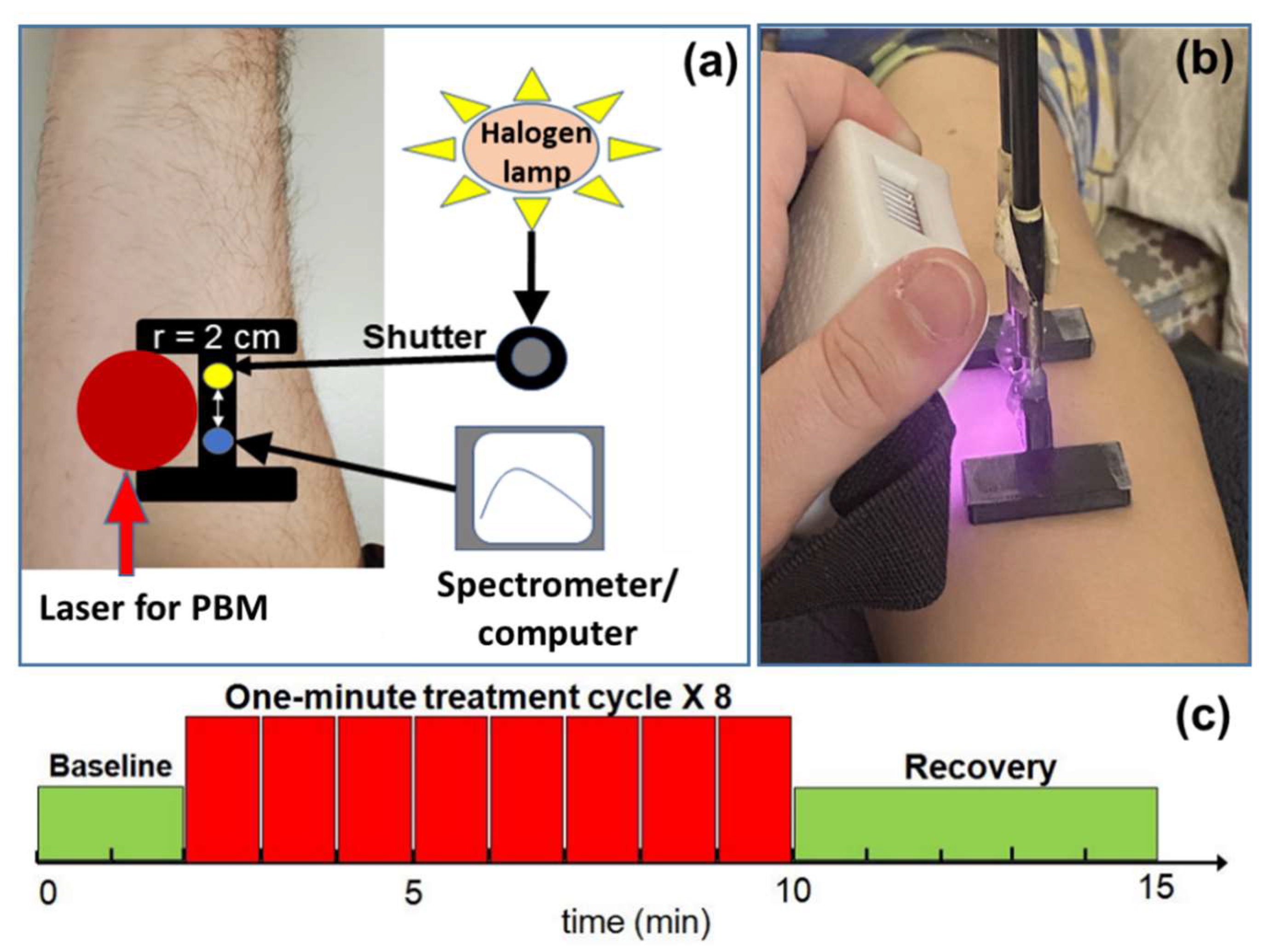 Metabolites 12 00103 g005