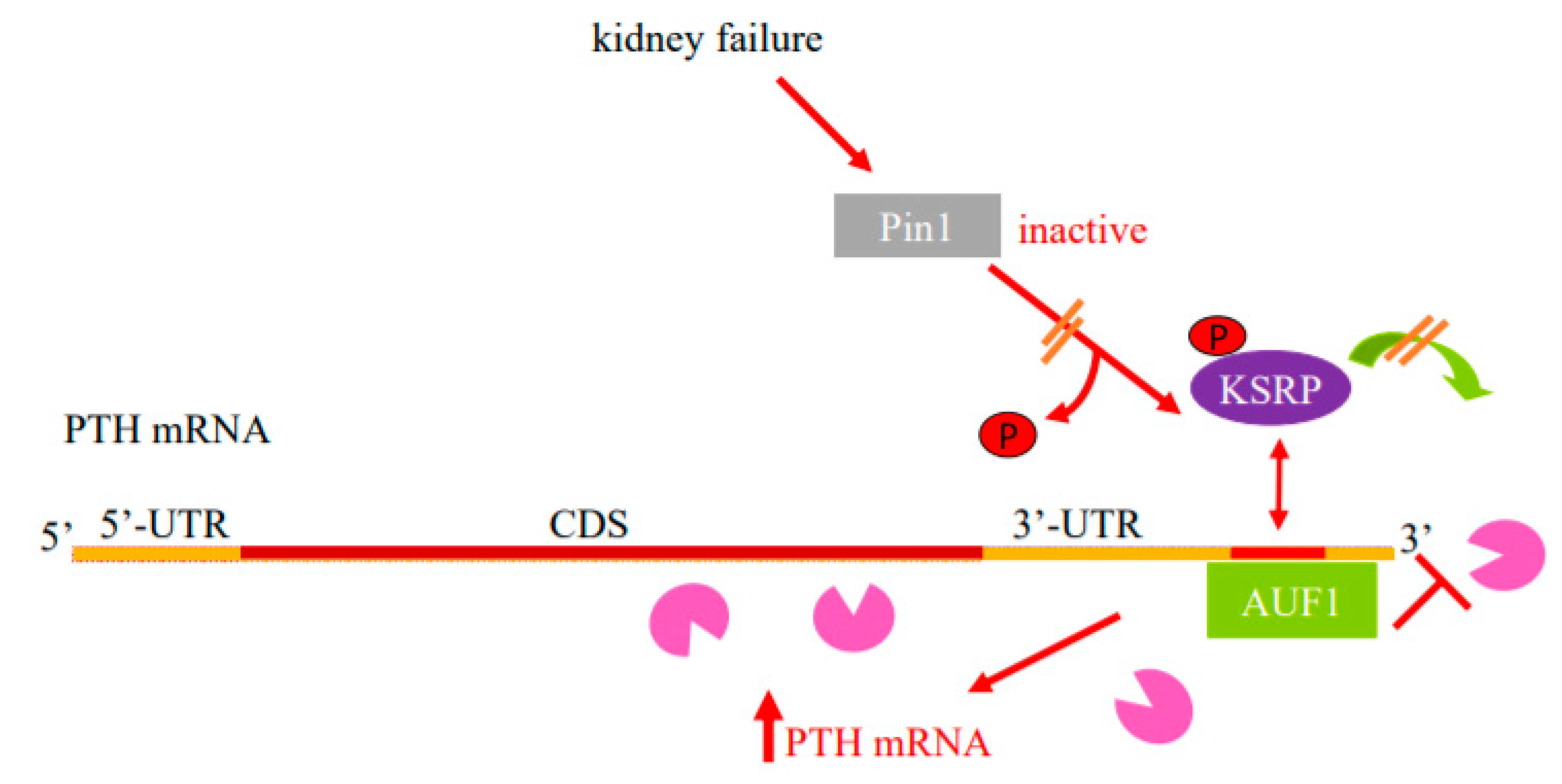 Metabolites 12 00111 g001