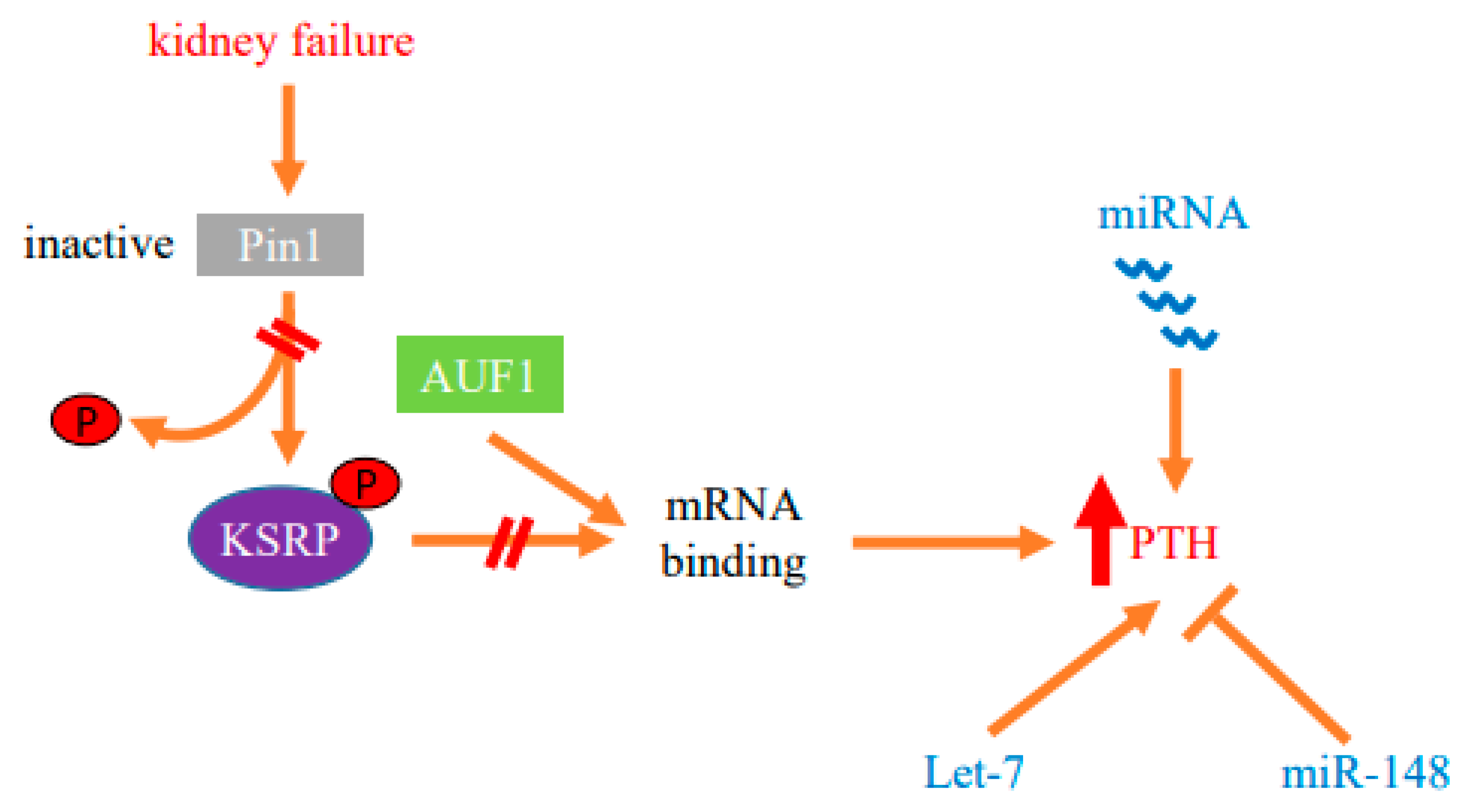 Metabolites 12 00111 g002