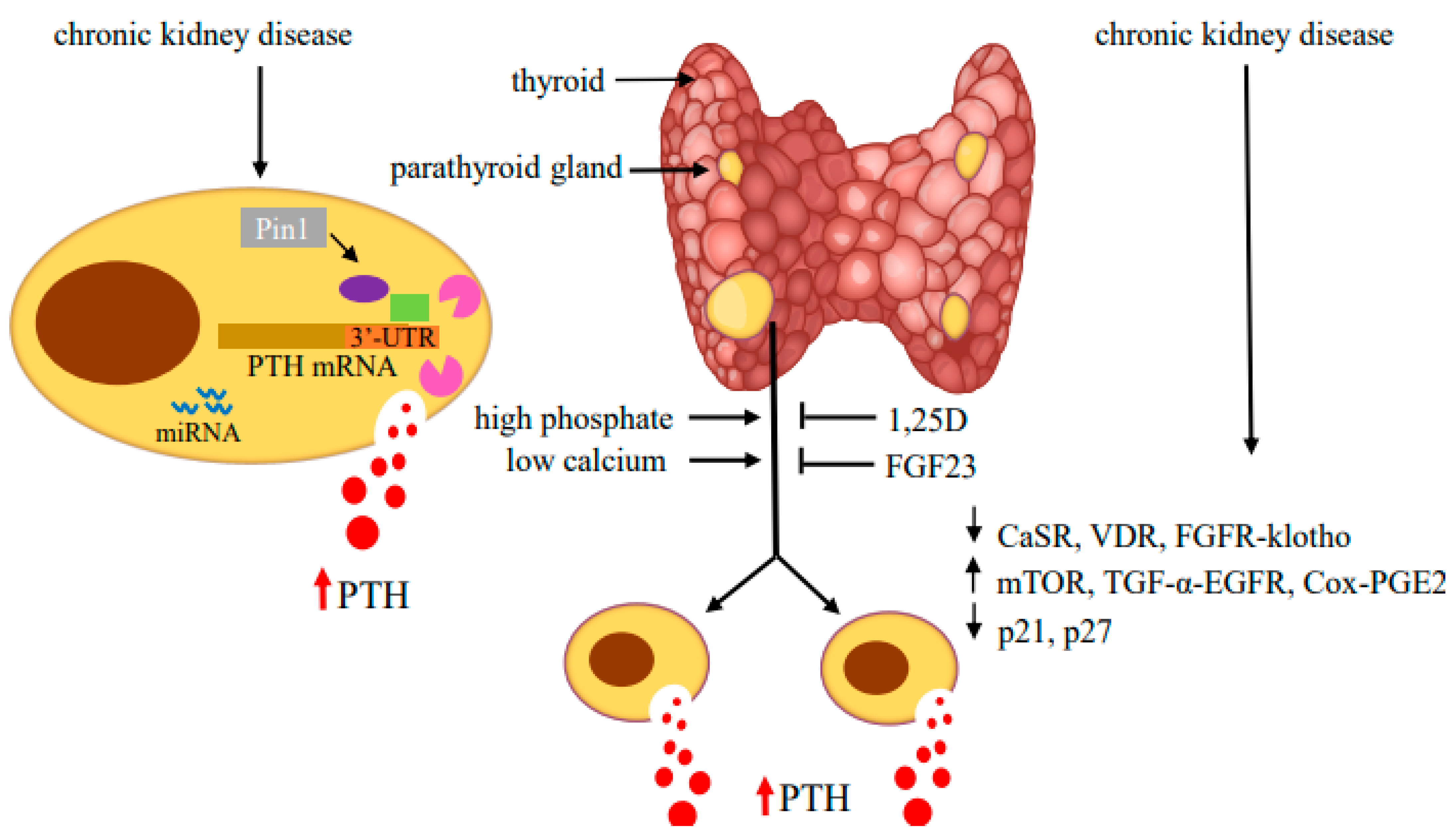 Metabolites 12 00111 g003