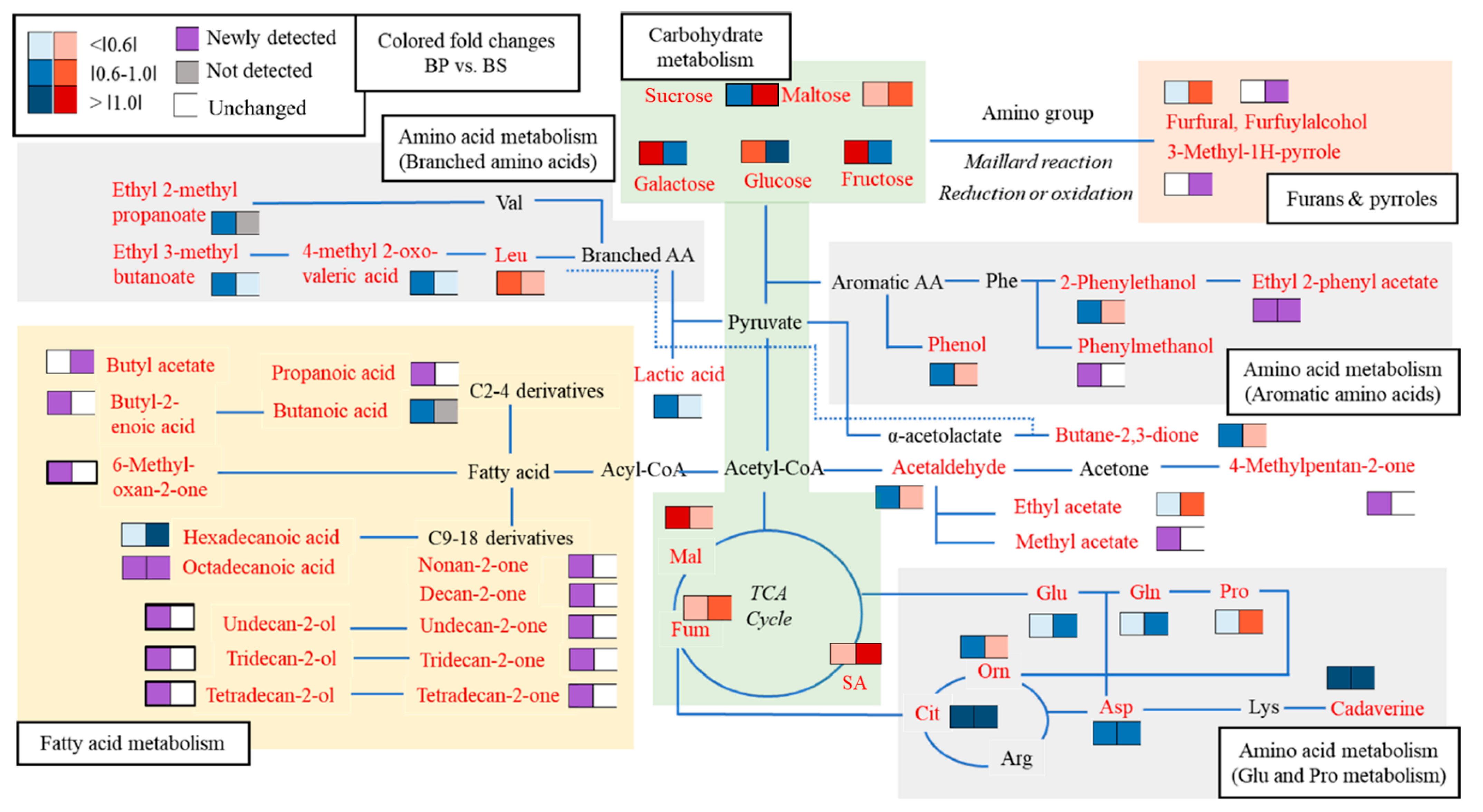 Metabolites 12 00112 g003