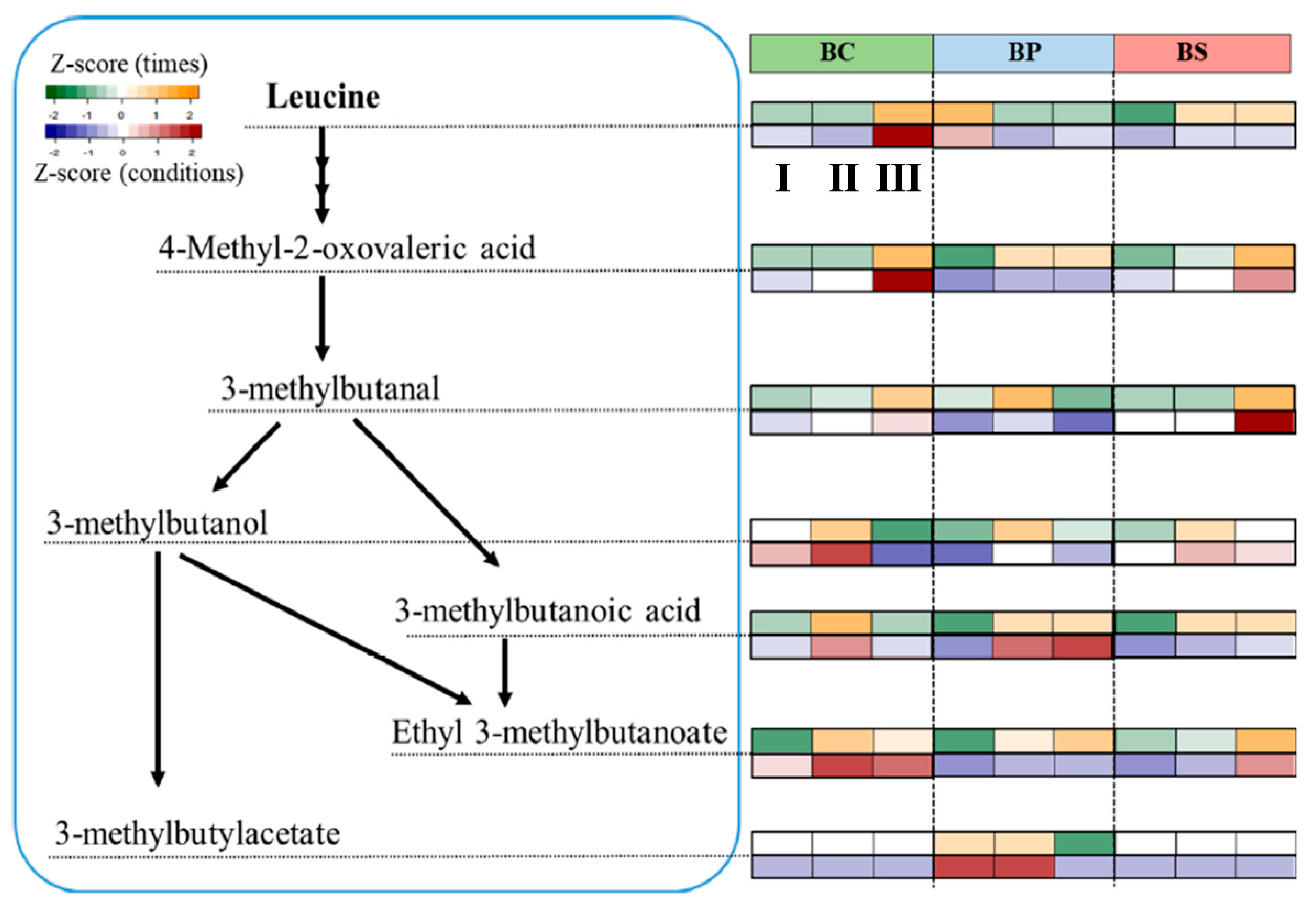 Metabolites 12 00112 g004