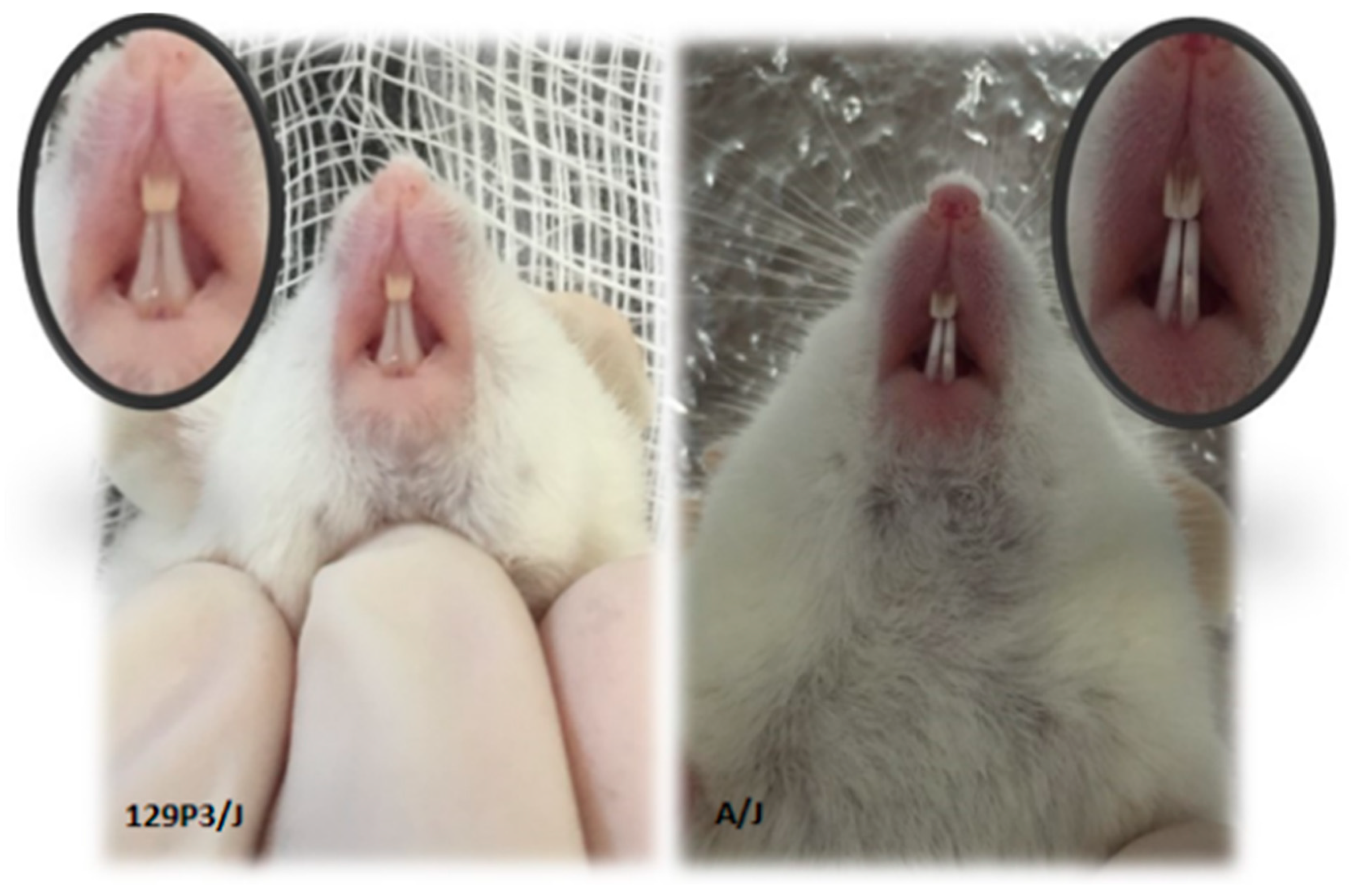 Metabolites 12 00117 g001