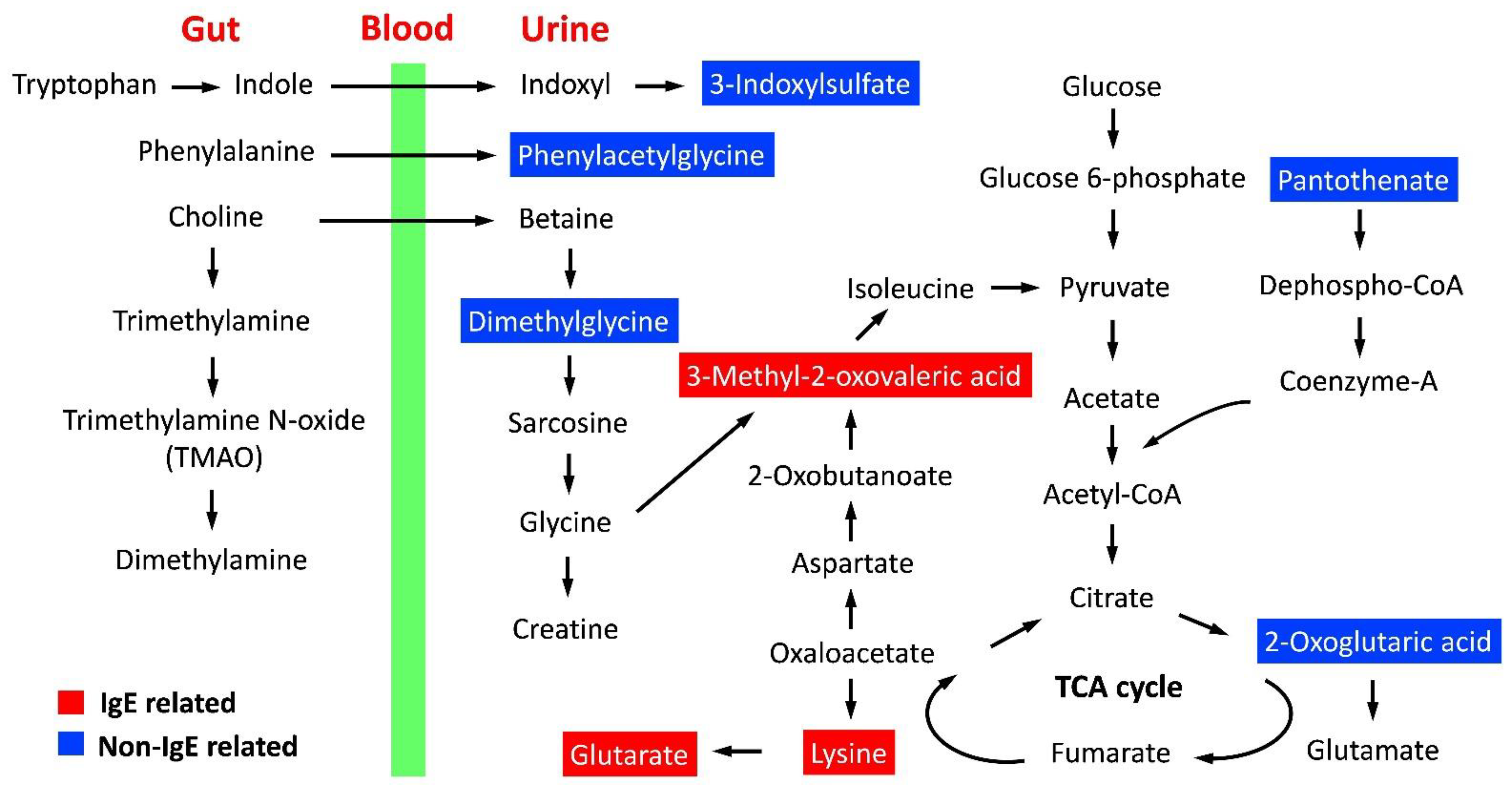 Metabolites 12 00127 g003 Metabolites 12 00127 g003