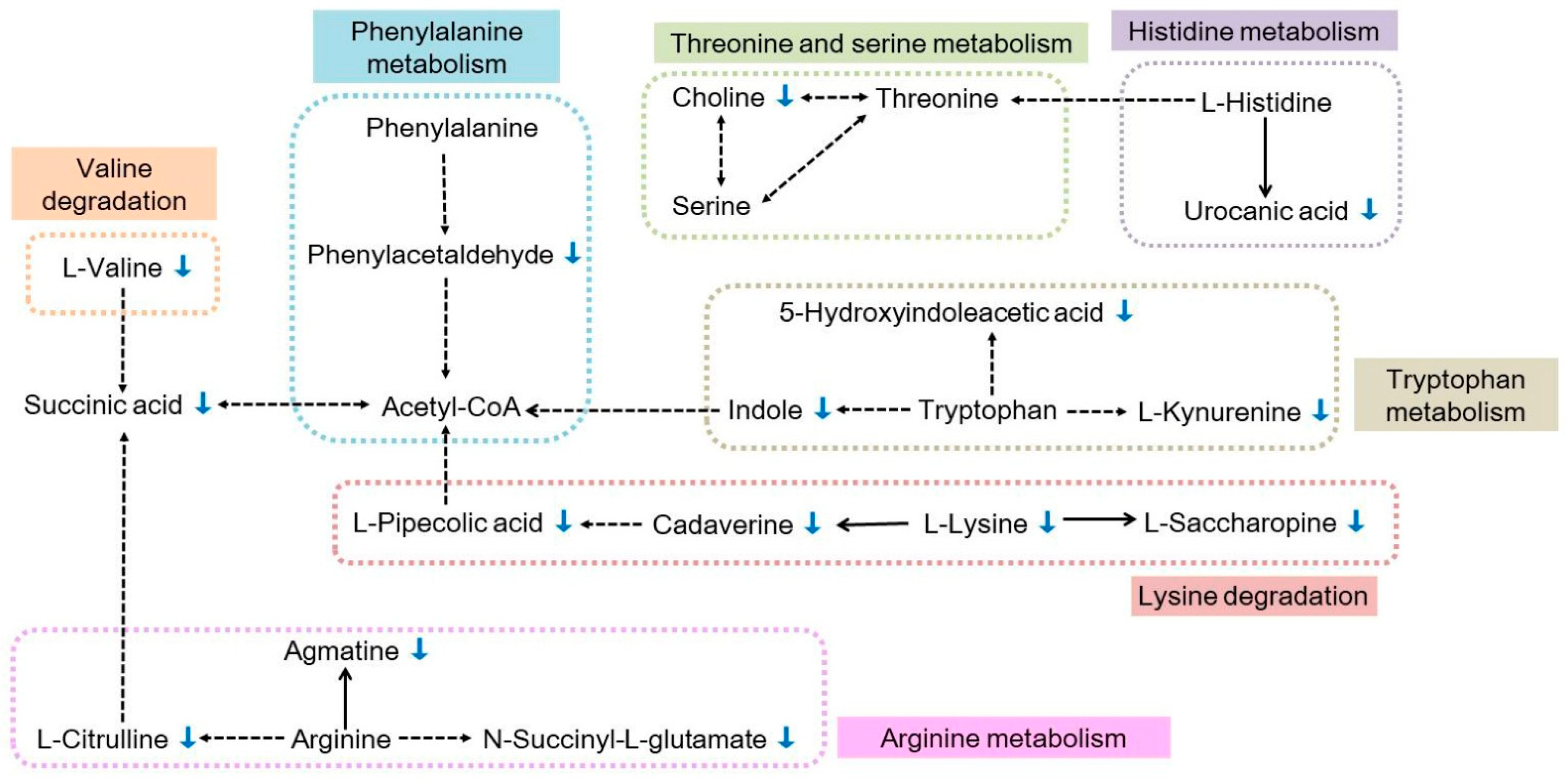 Metabolites 12 00158 g007 Metabolites 12 00158 g007