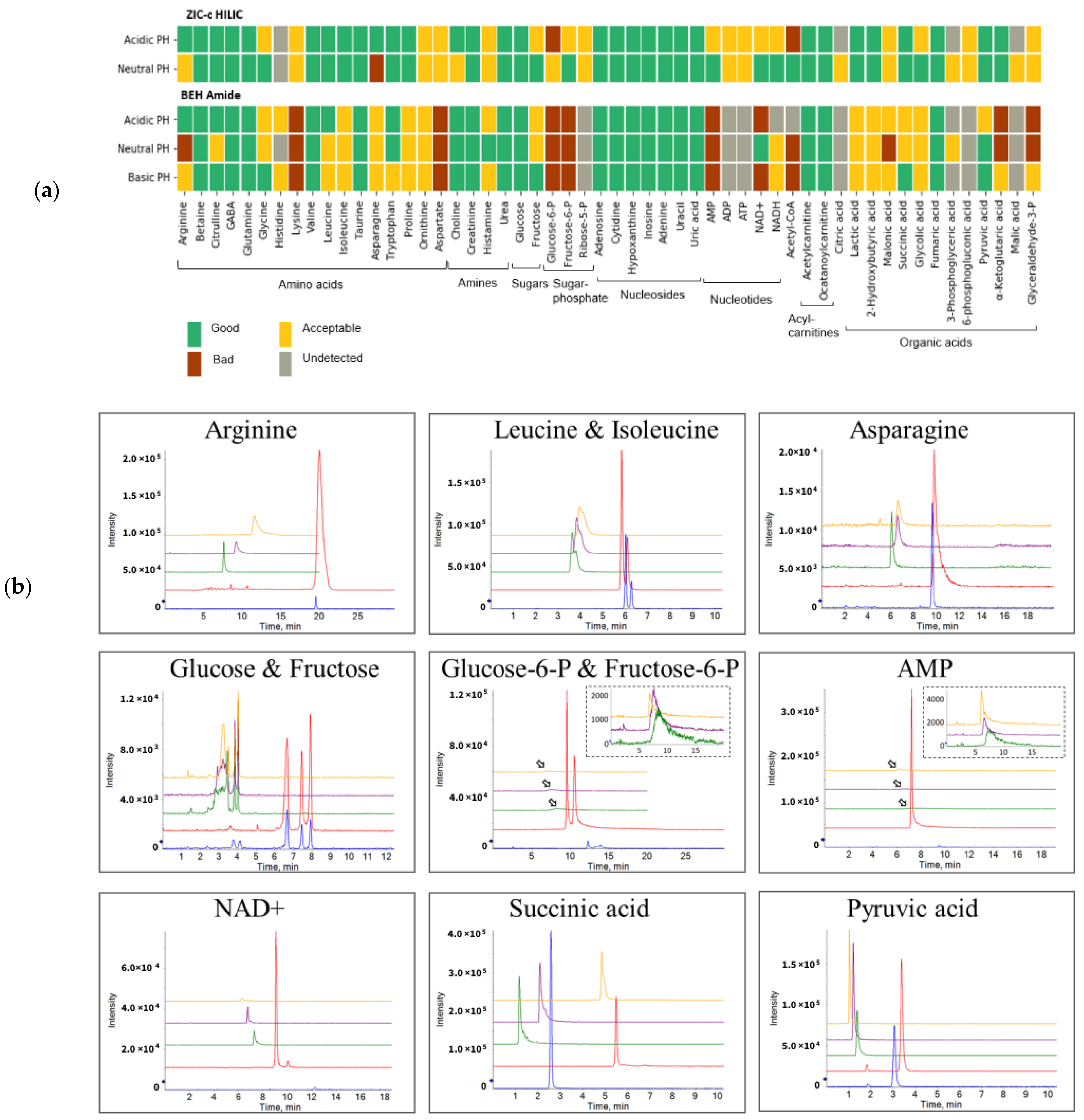 Metabolites 12 00165 g001