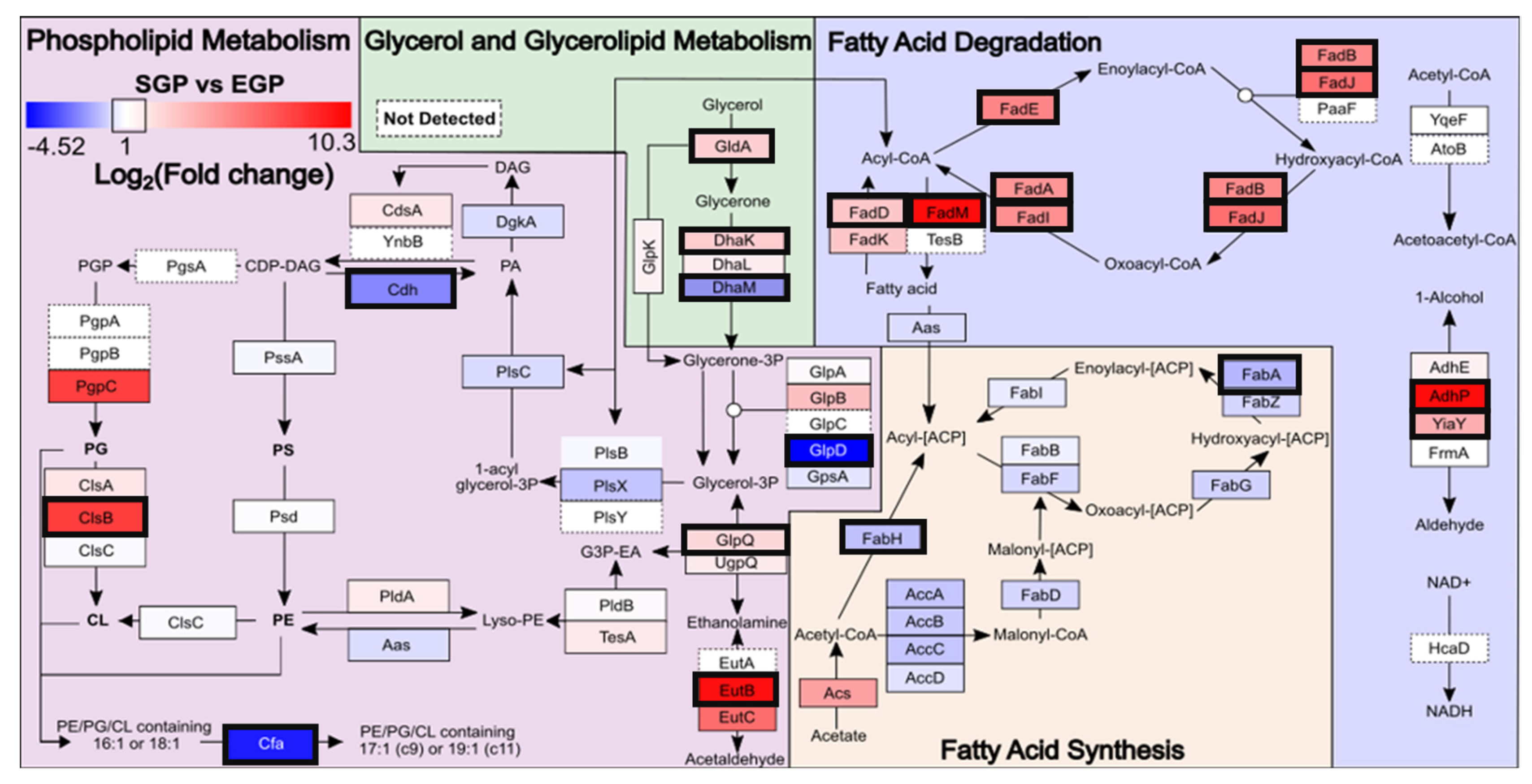 Metabolites 12 00171 g006 Metabolites 12 00171 g006