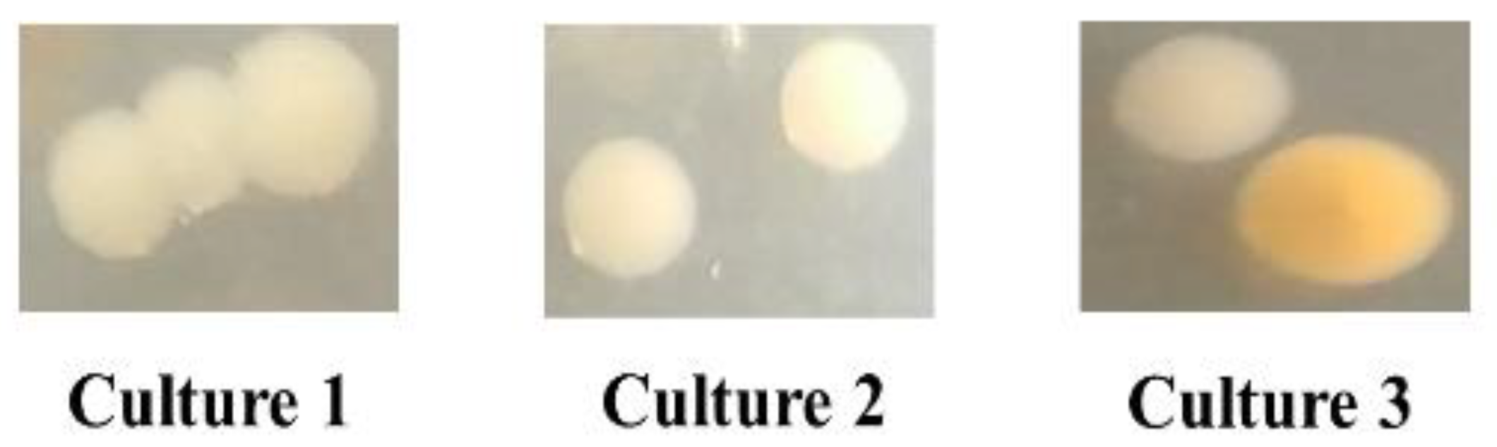 Metabolites 12 00172 g003