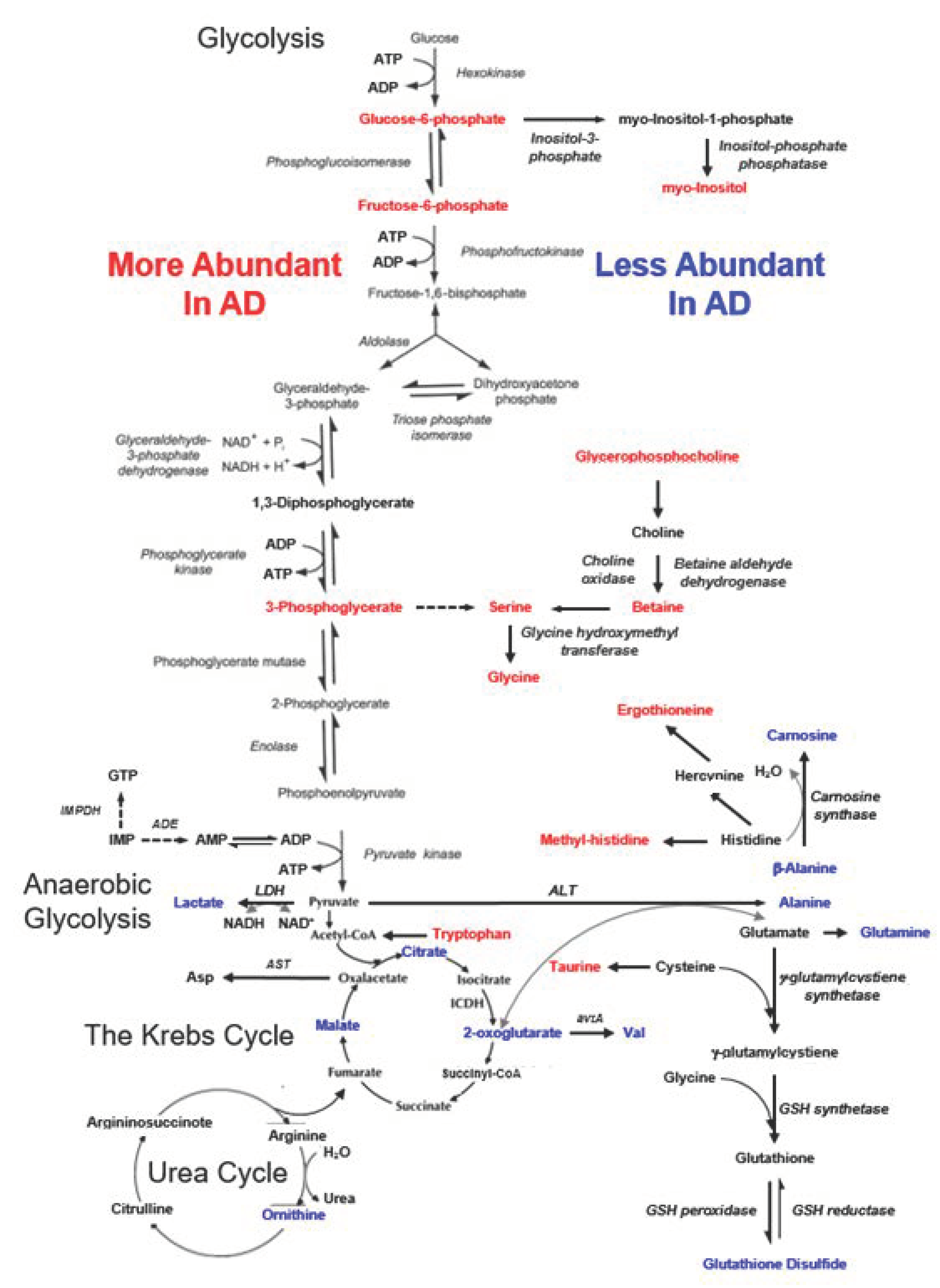 Metabolites 12 00181 g005