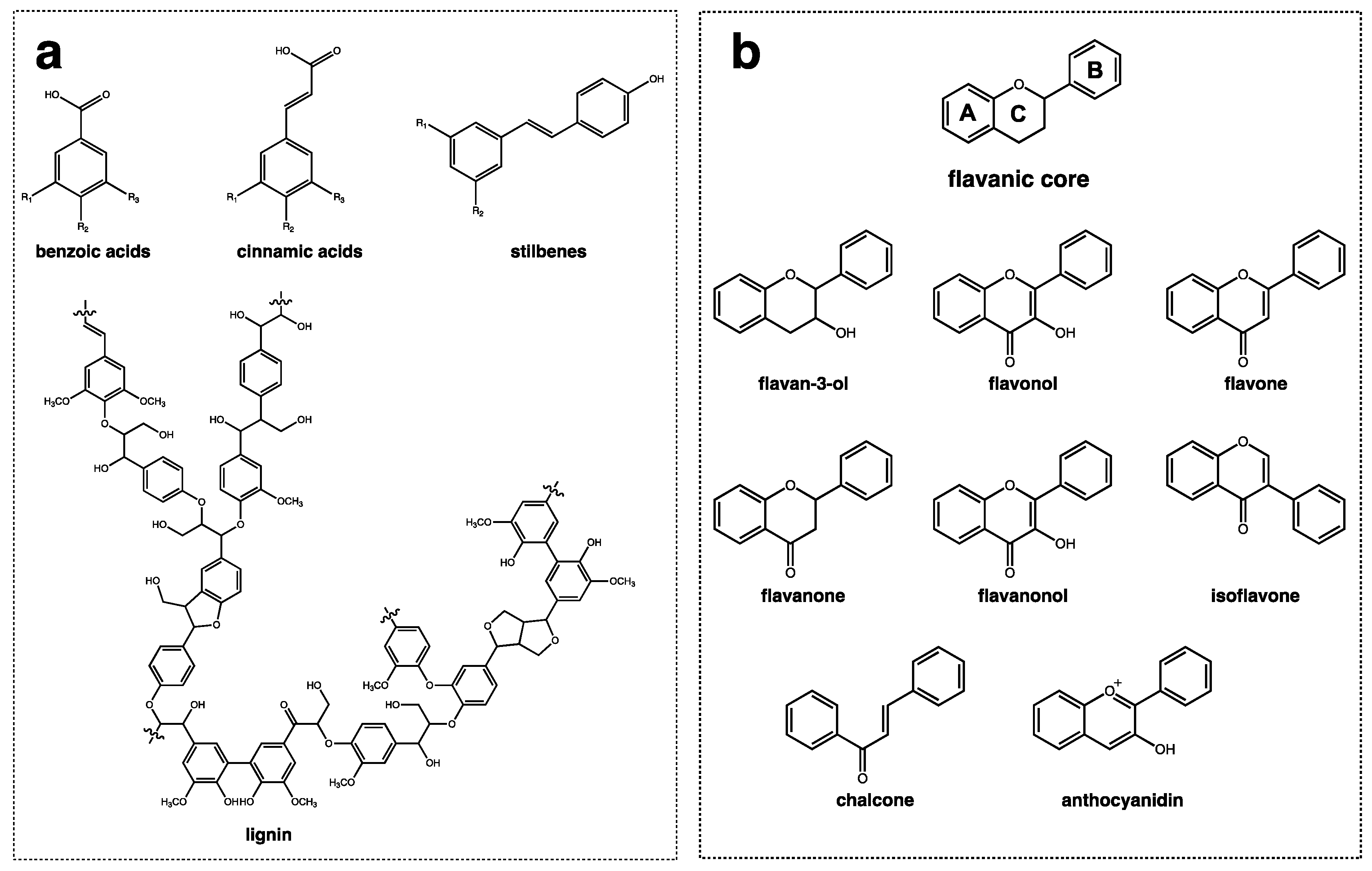 Metabolites 12 00184 g001
