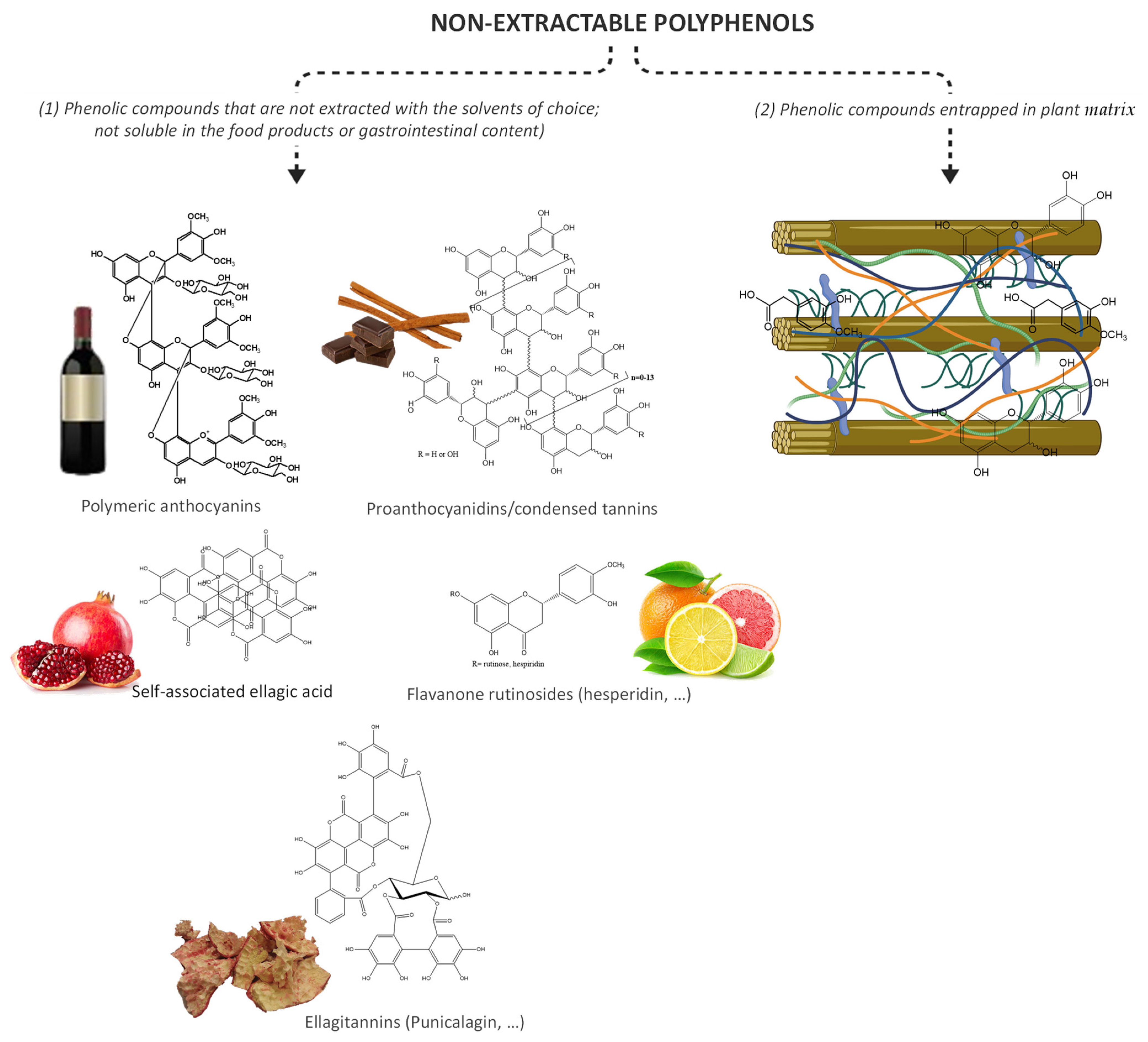 Metabolites 12 00184 g002