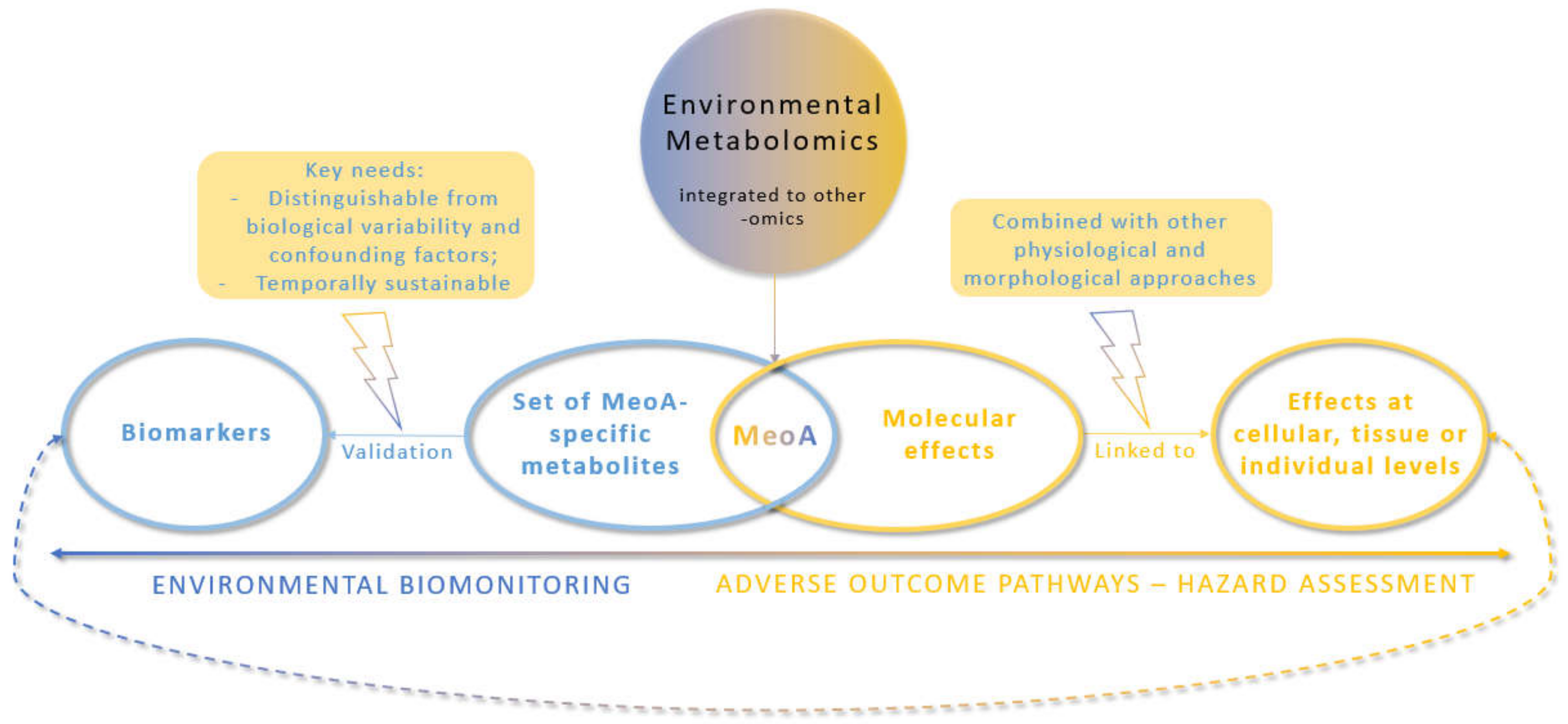 Metabolites 12 00186 g002