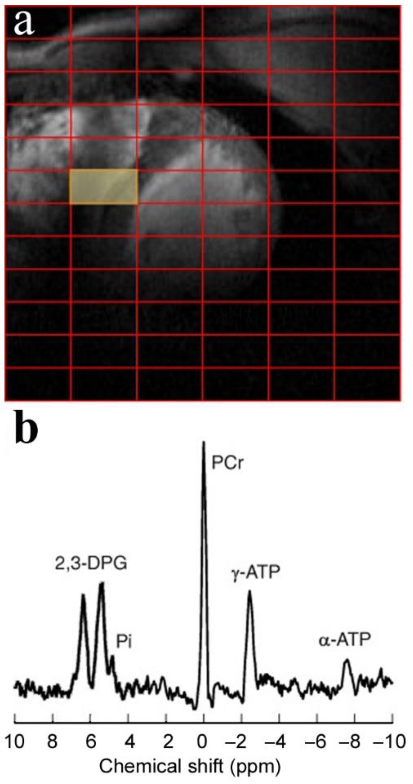 Metabolites 12 00189 g003