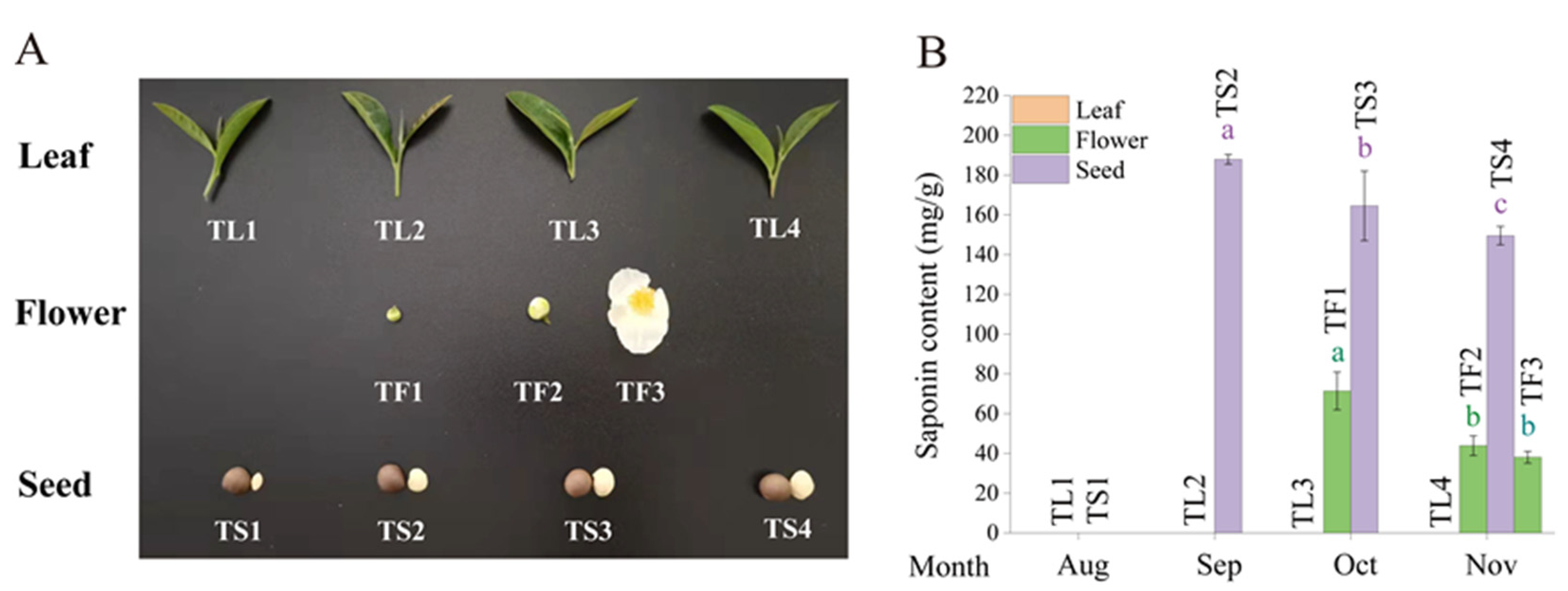 Metabolites 12 00204 g001 Metabolites 12 00204 g001