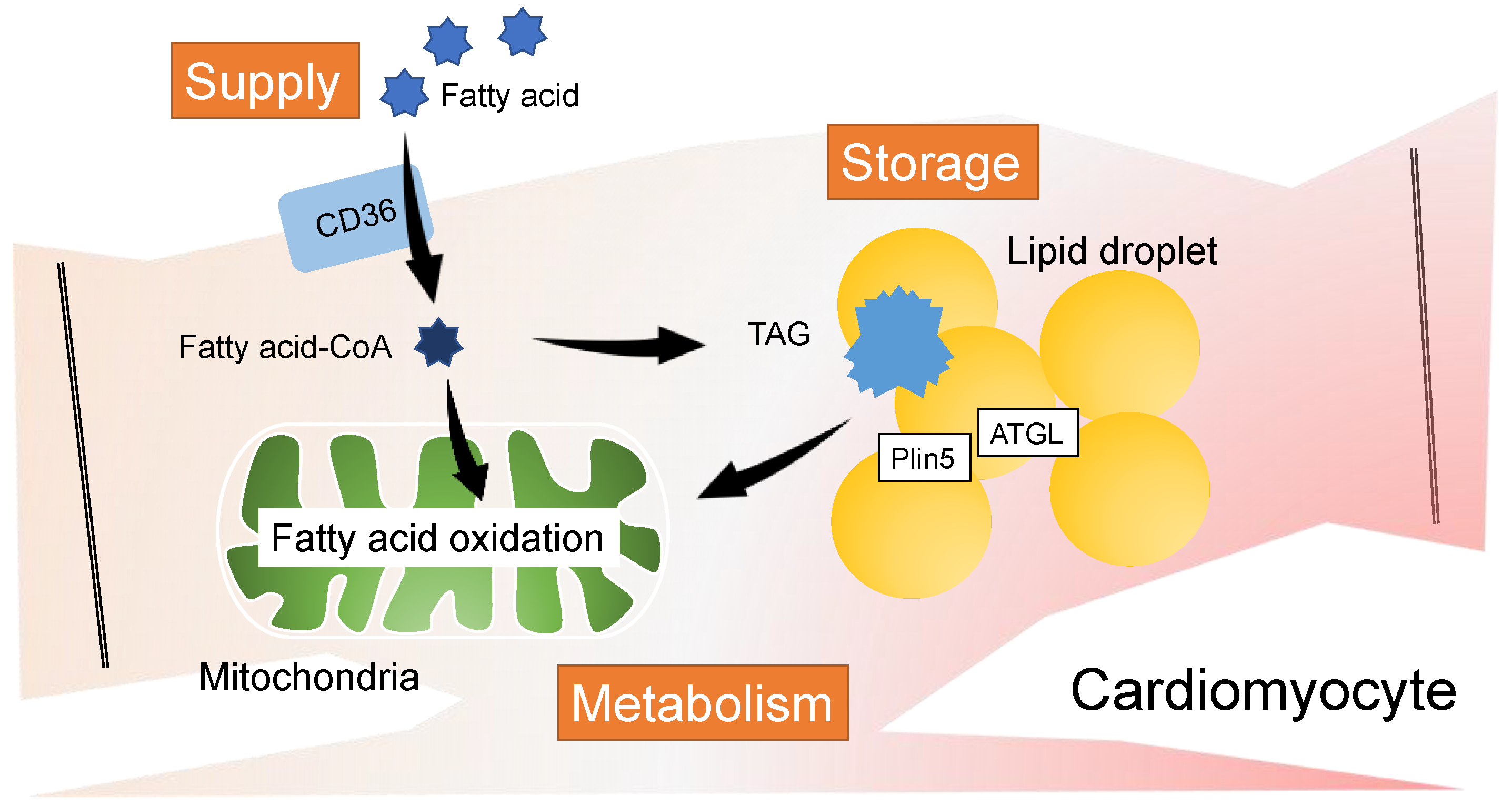 Metabolites 12 00210 g001